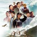 雪莲花盛开的地方