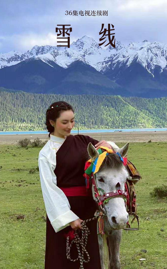 雪莲花盛开的地方的海报-正式海报