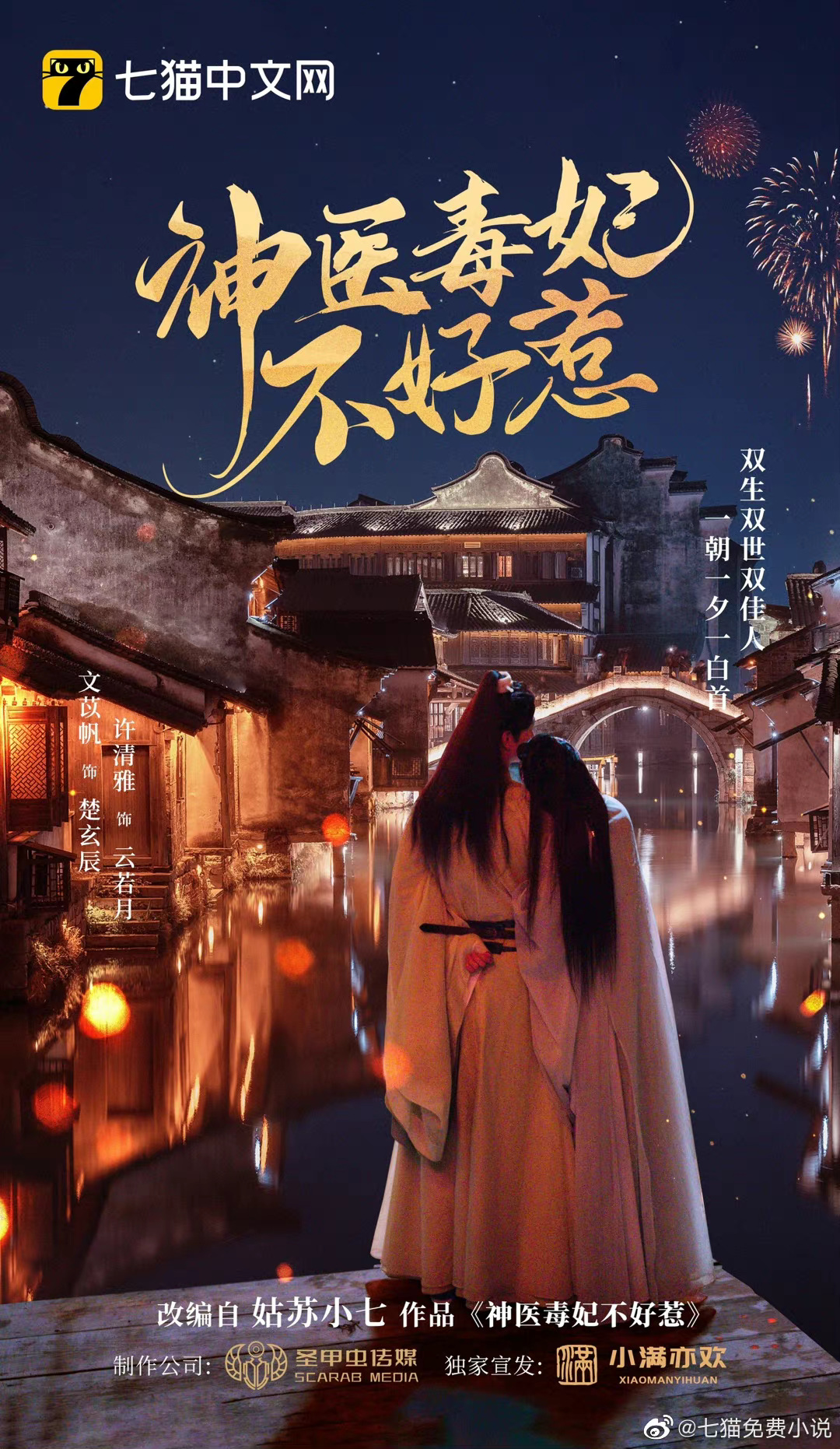 我的医妃不好惹的海报-其他海报