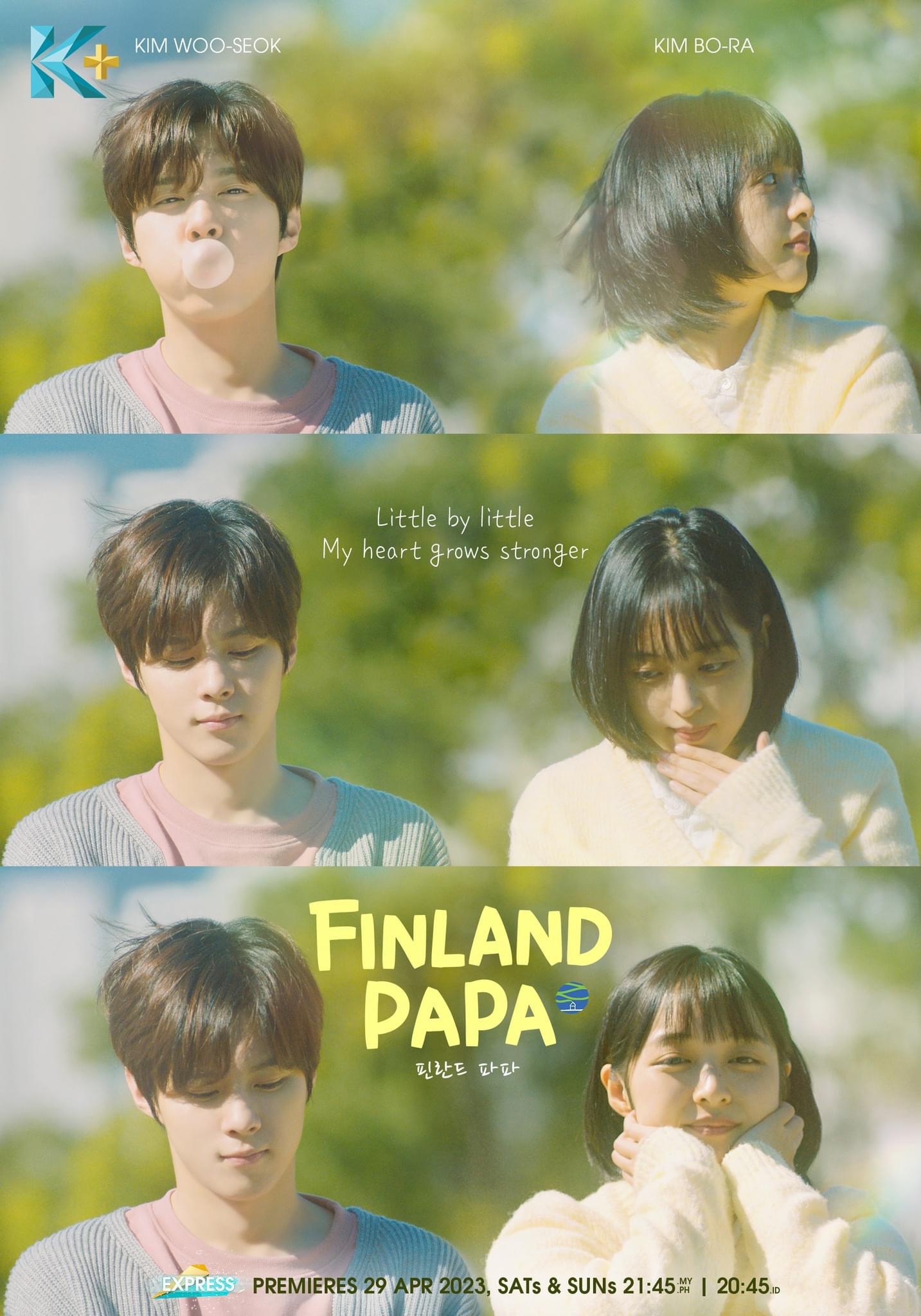 芬兰爸爸的海报-正式海报