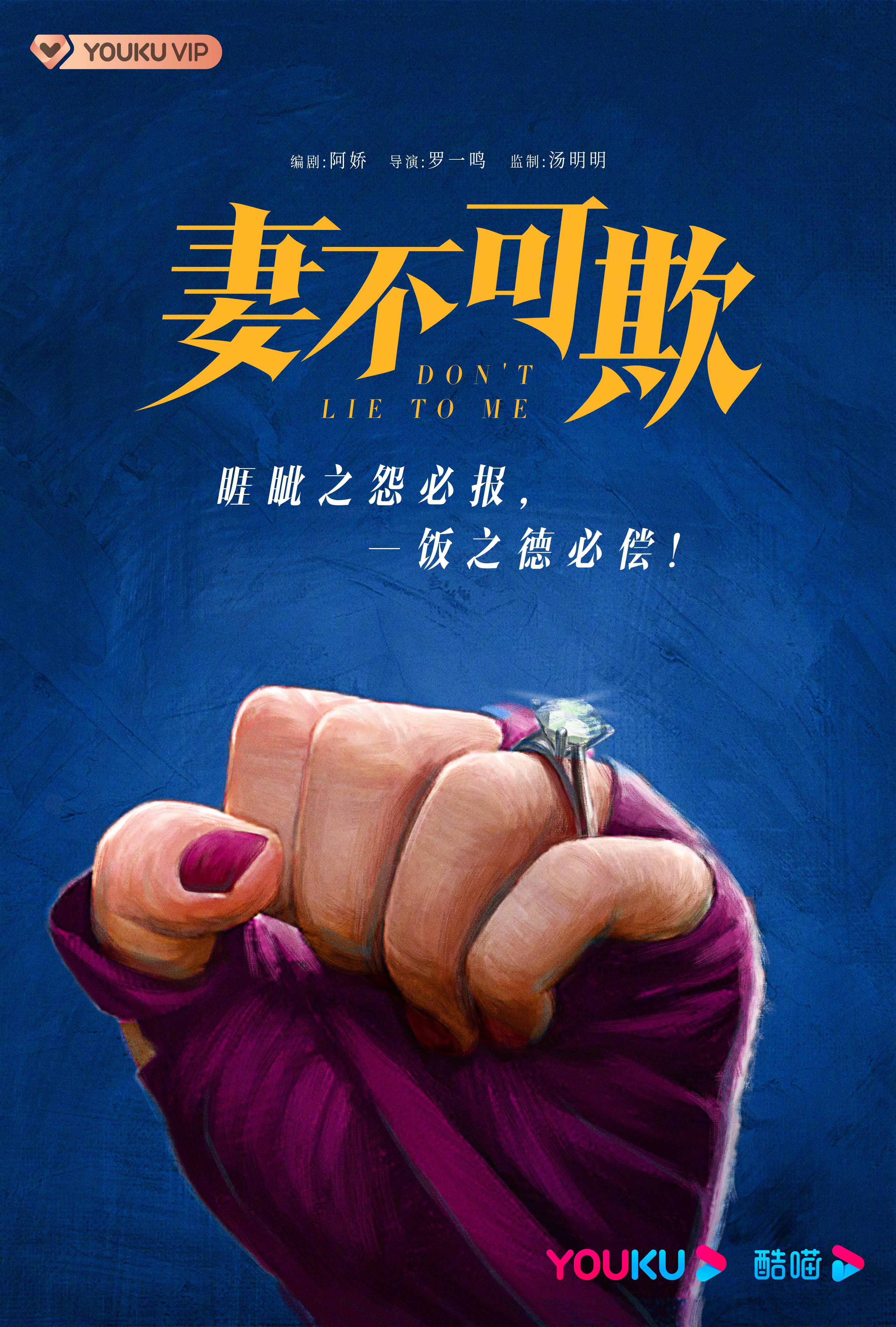 妻不可欺的海报-预告海报