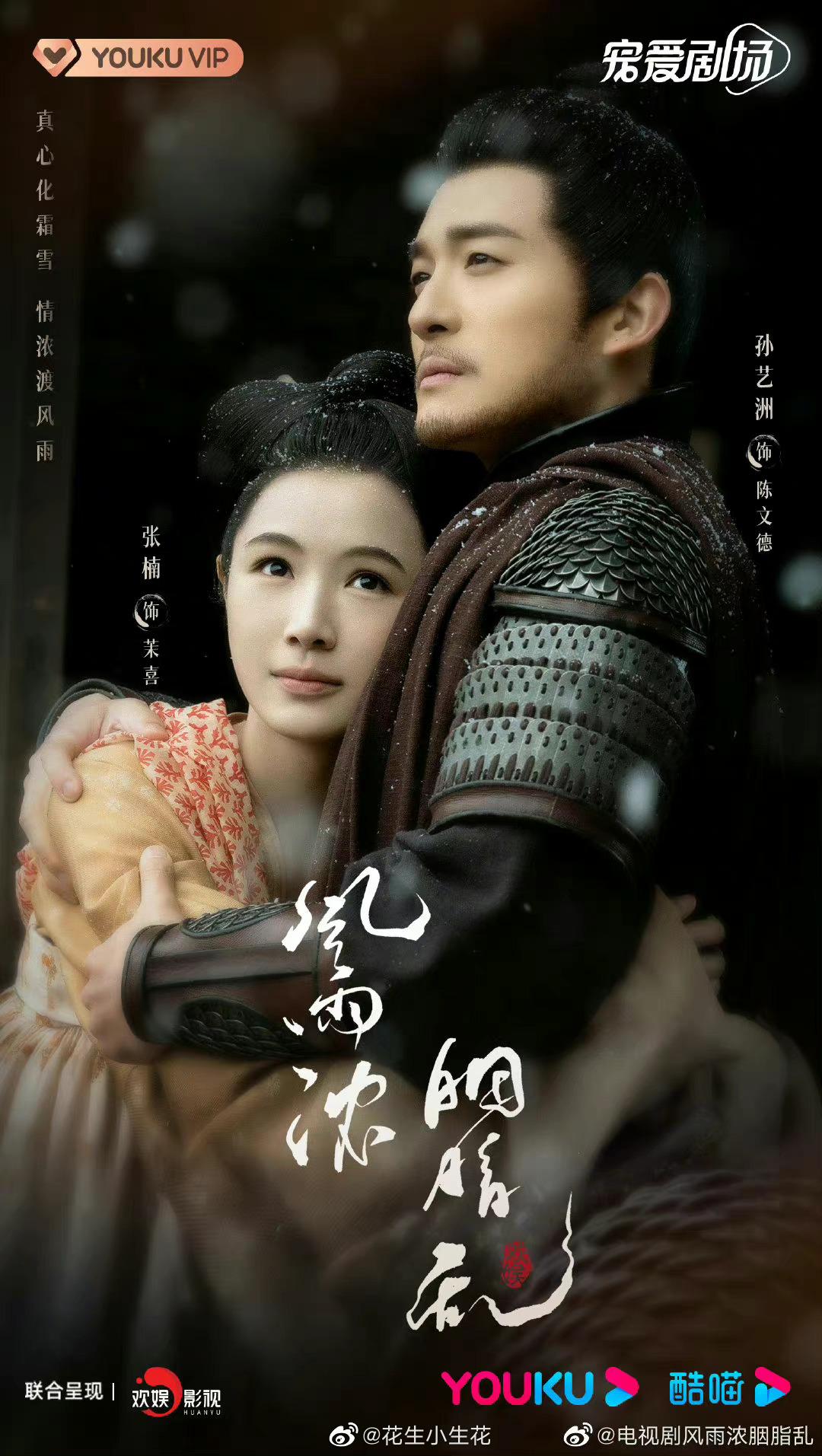 微雨燕双飞的海报-其他海报