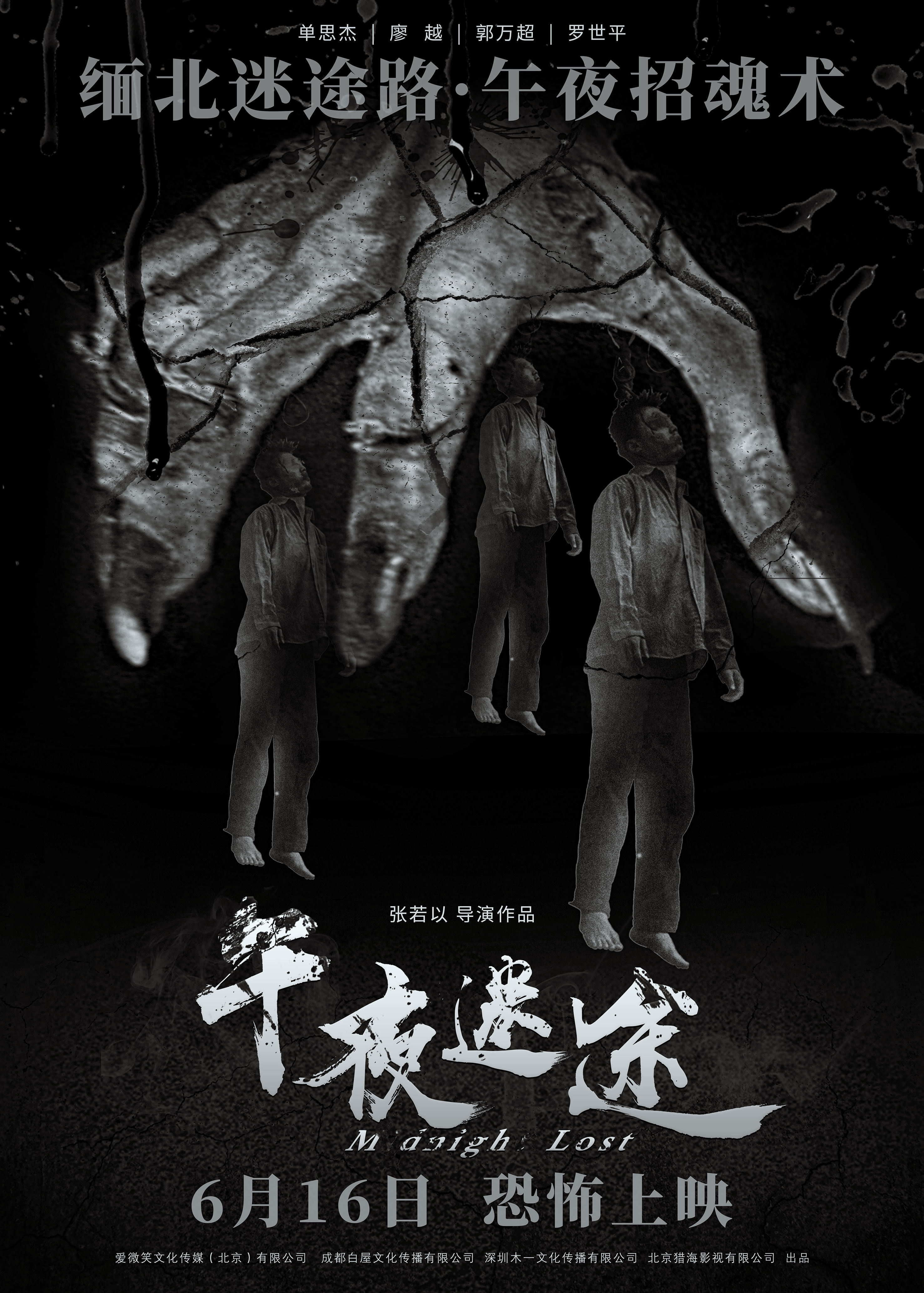 午夜迷途的海报-正式海报 中国大陆