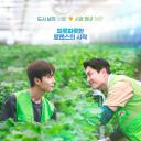 拖拉机承载的爱情