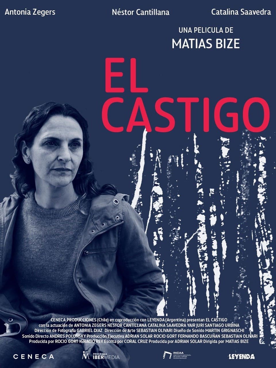 惩罚的海报-预告海报