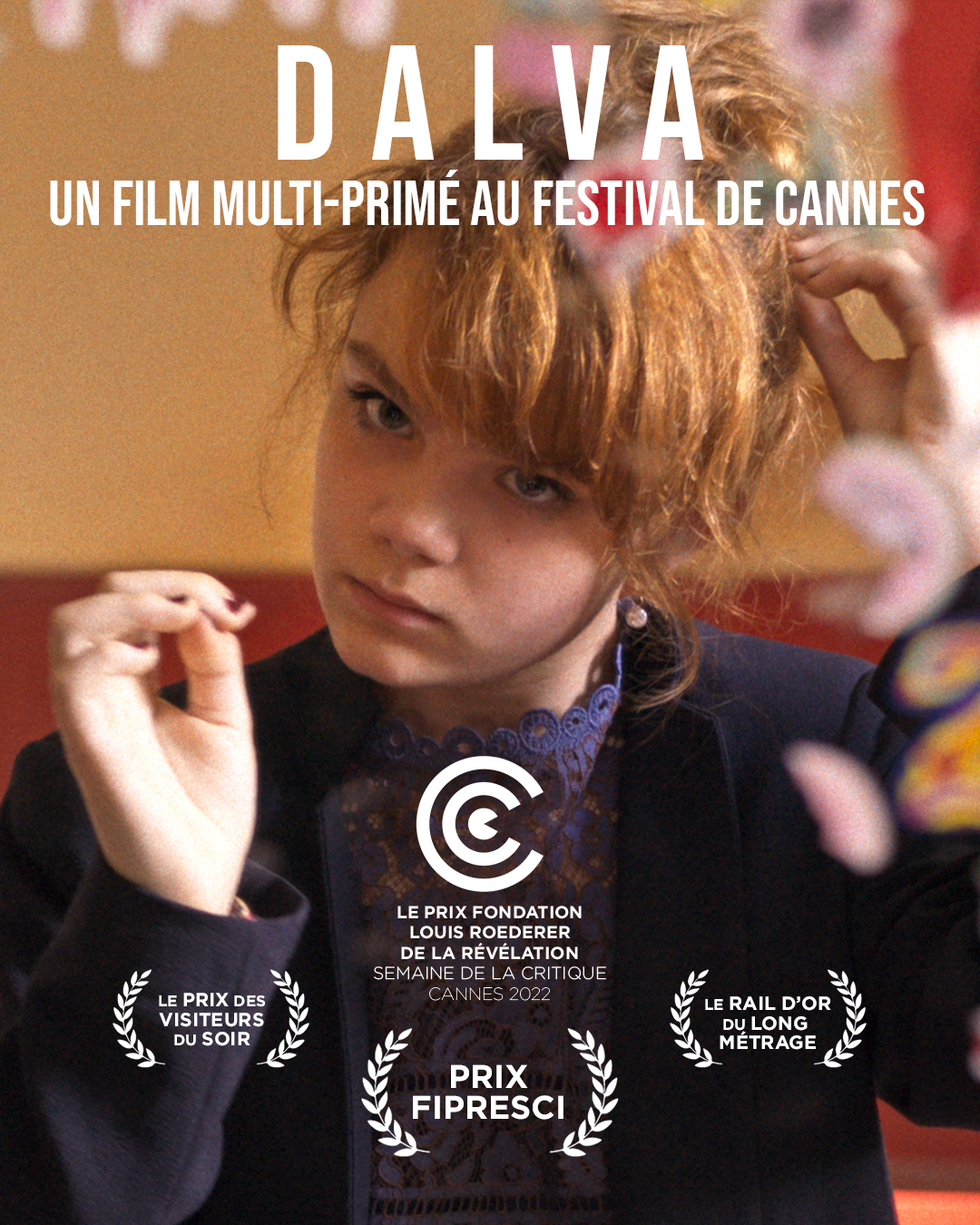 达尔瓦的海报-预告海报 法国