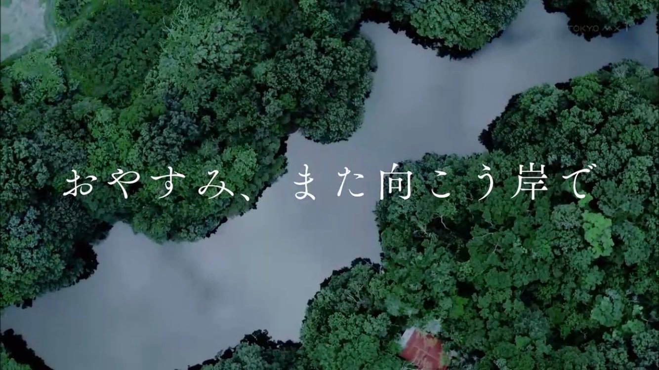 晚安，对岸再会的海报-正式海报