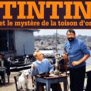 丁丁历险记：金毛号宝藏之迷