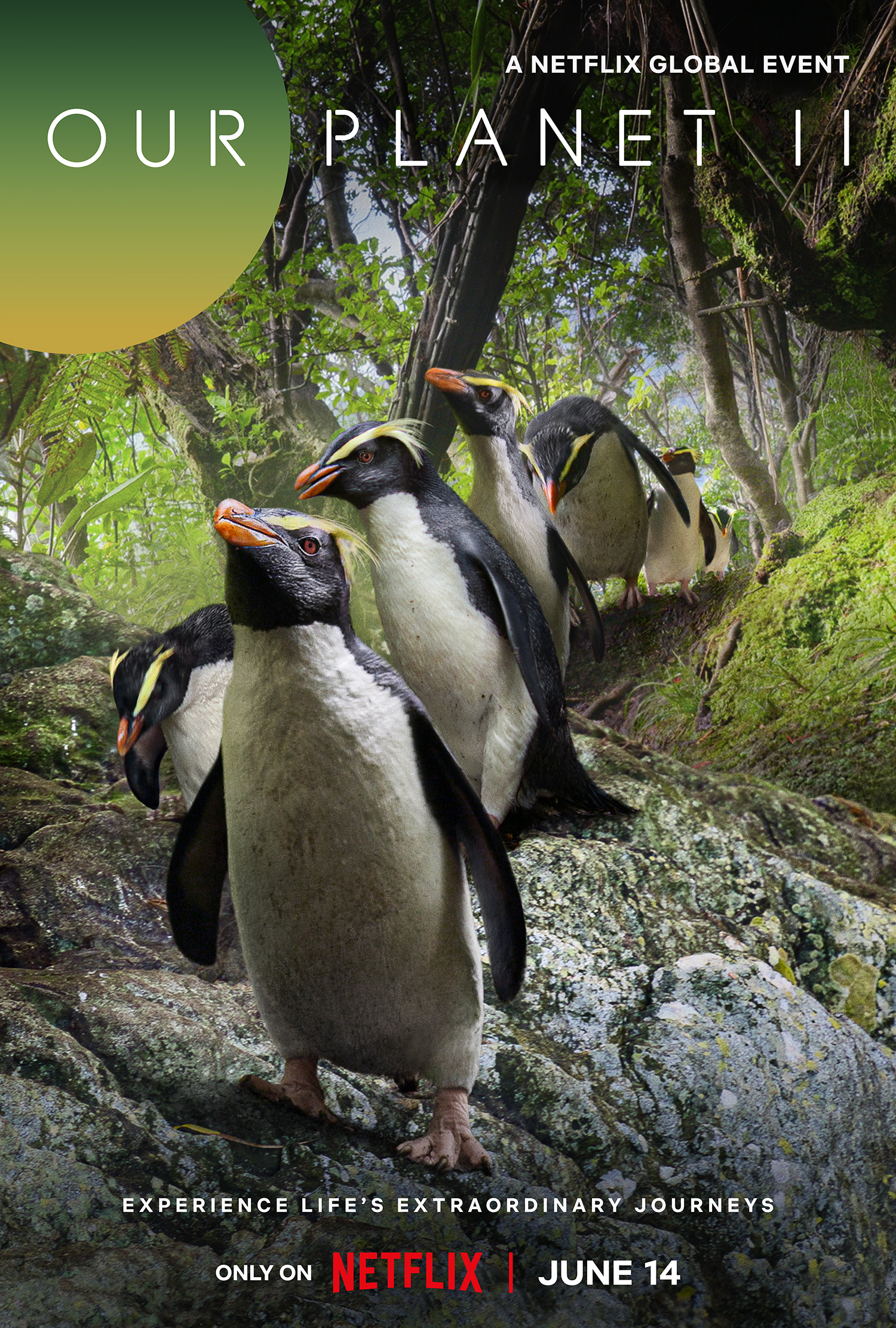 我们的星球 第二季的海报-正式海报