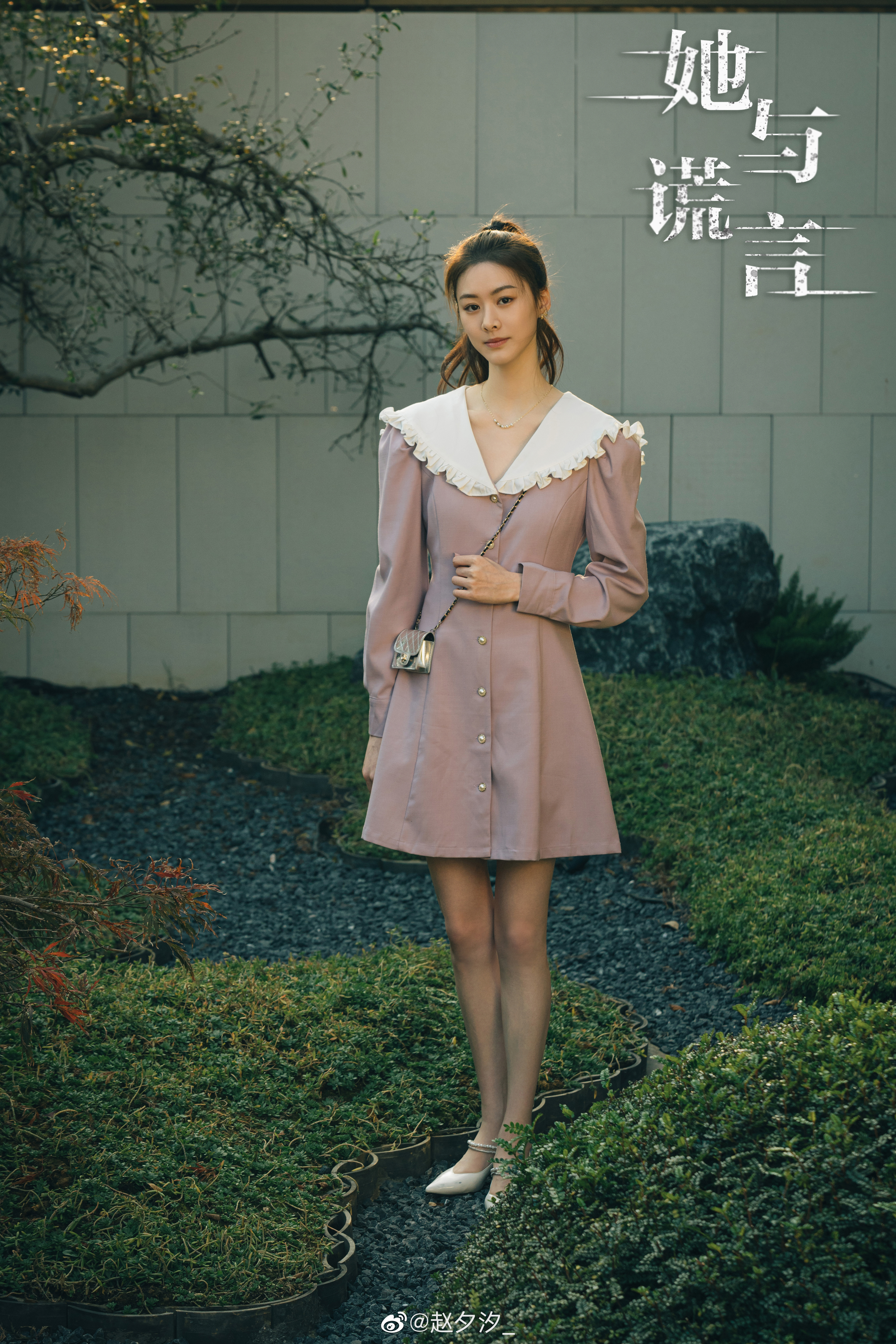 她与谎言的海报-角色海报