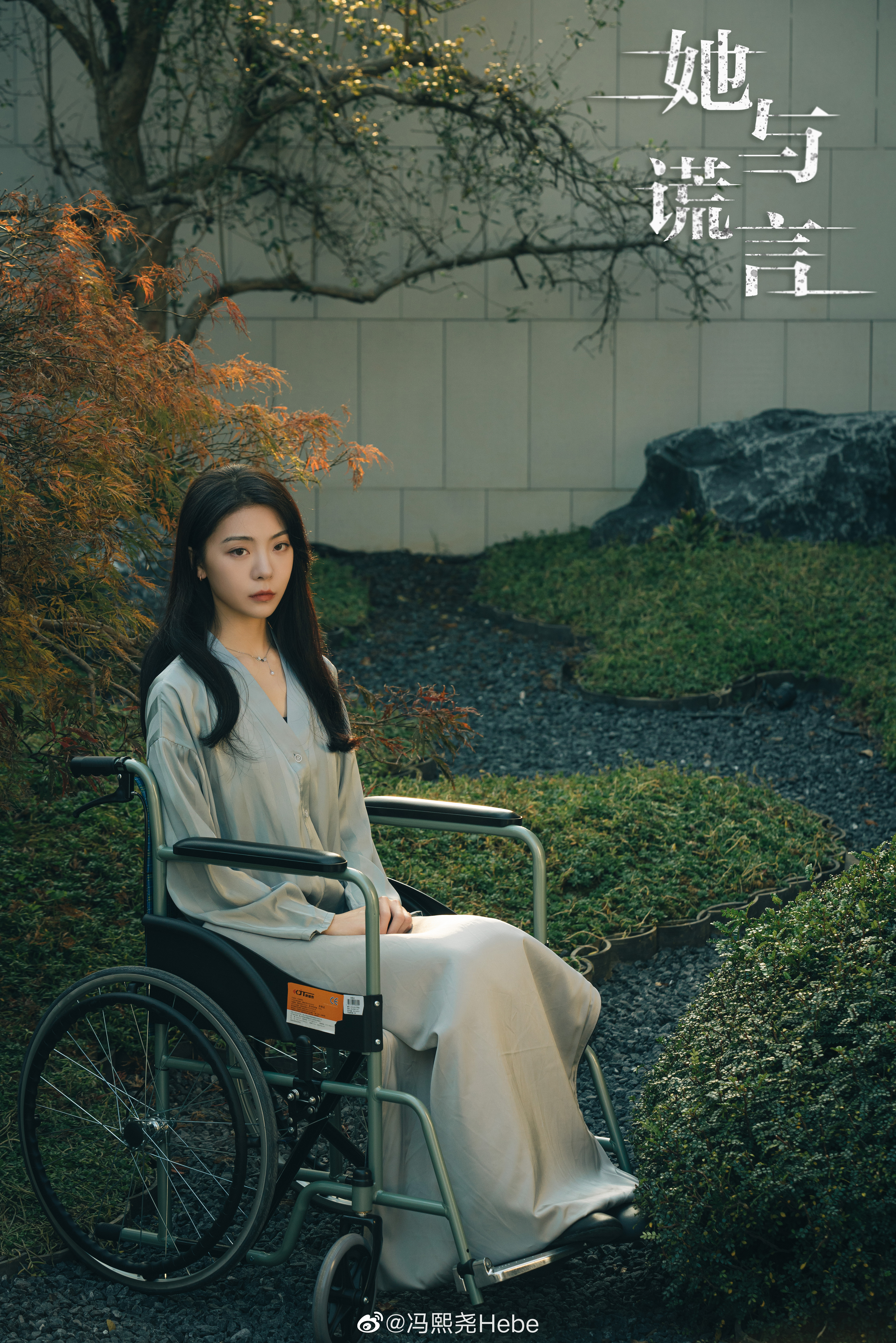 她与谎言的海报-角色海报