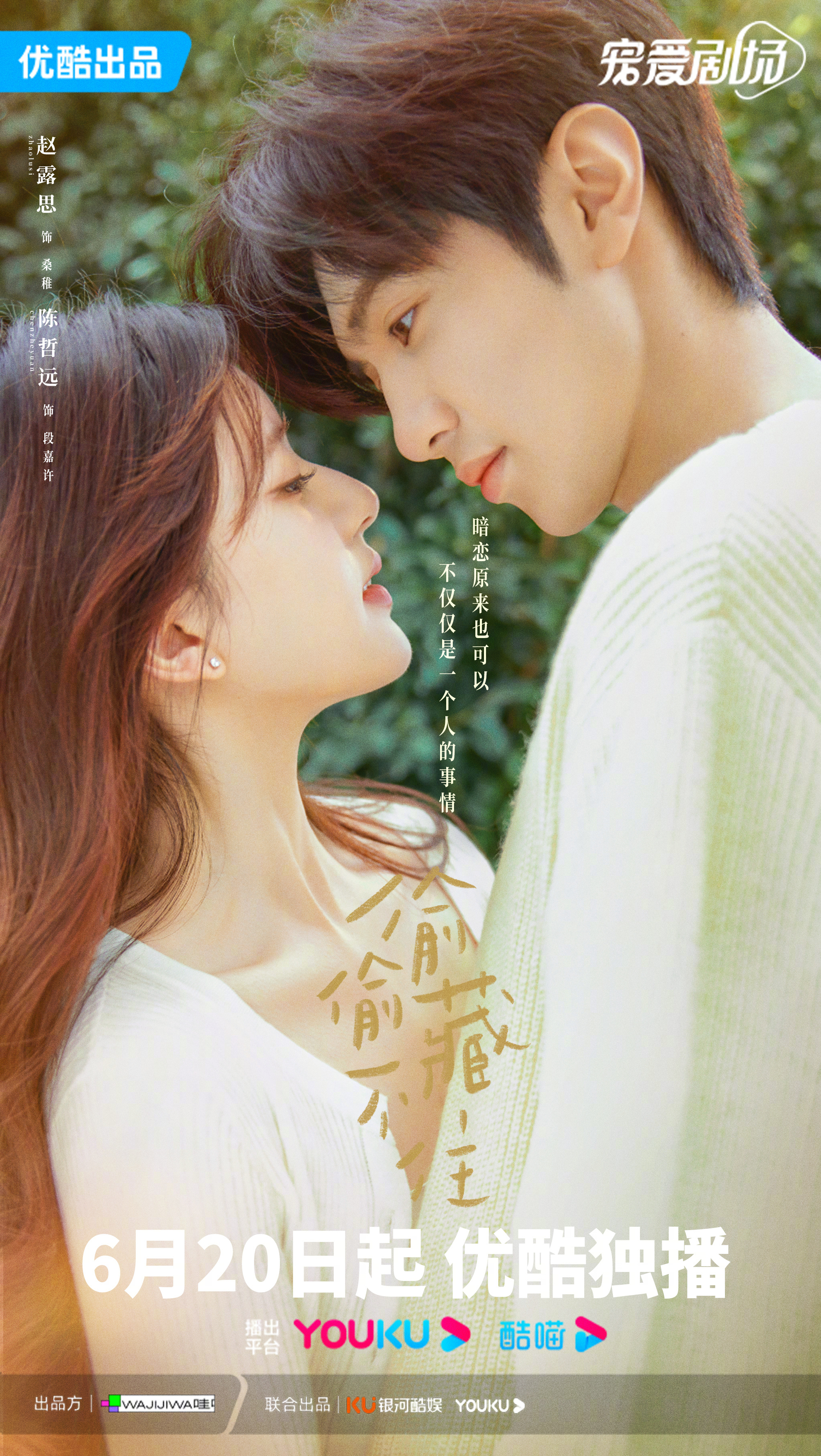 偷偷藏不住的海报-正式海报 中国大陆