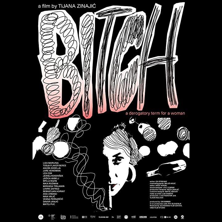 Prasica, slabšalni izraz za žensko的海报-正式海报