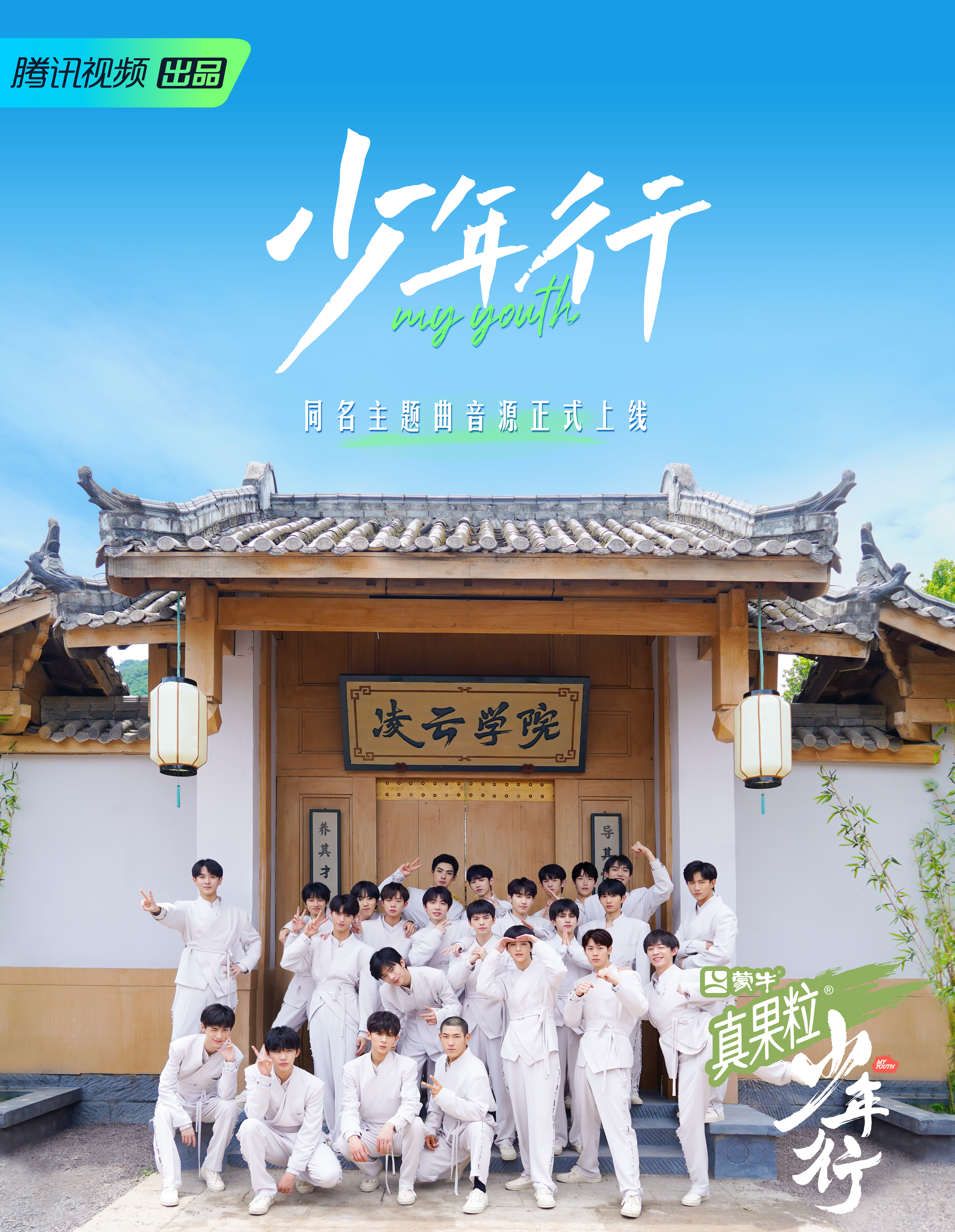 少年行的海报-其他海报