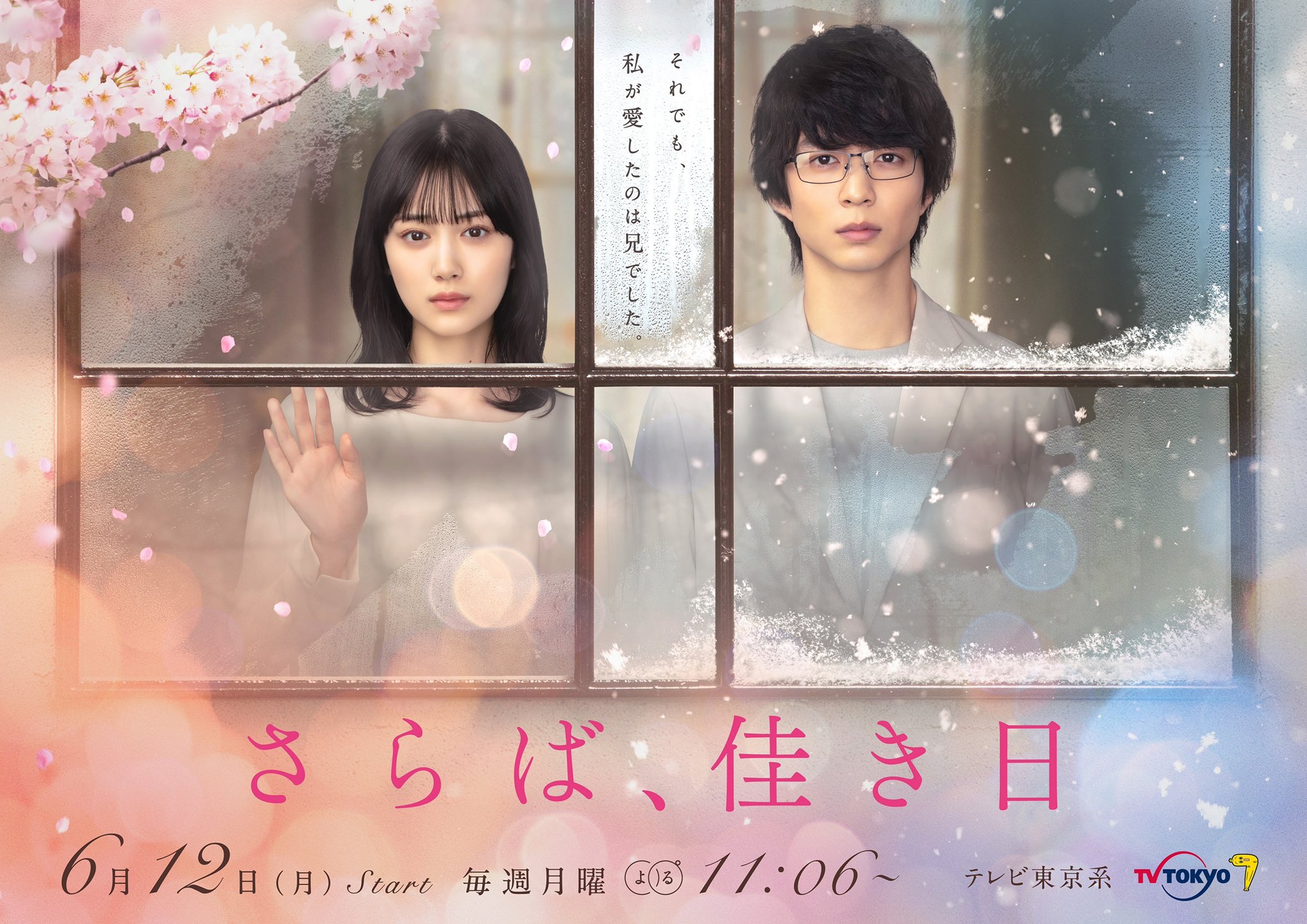 再见、美好时光的海报-正式海报