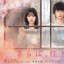 再见、美好时光