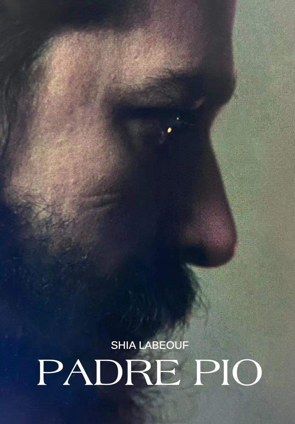 毕奥神父的海报-预告海报