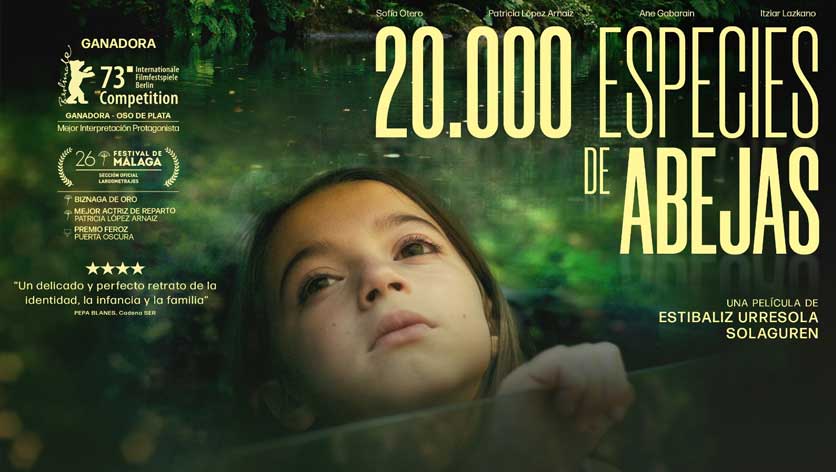 两万种蜜蜂的海报-正式海报 西班牙