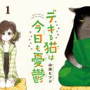 能干的猫今天也忧郁