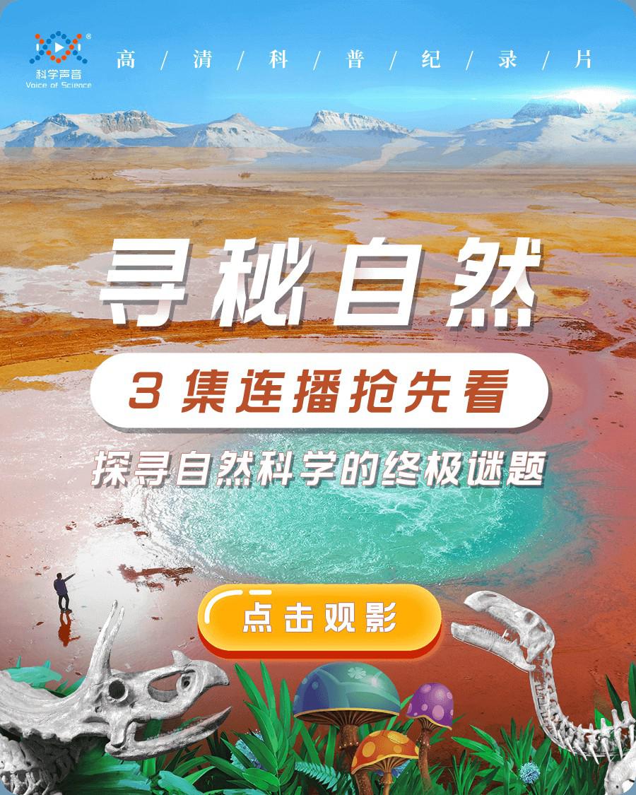 寻秘自然的海报-正式海报