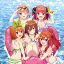 五等分的新娘∽