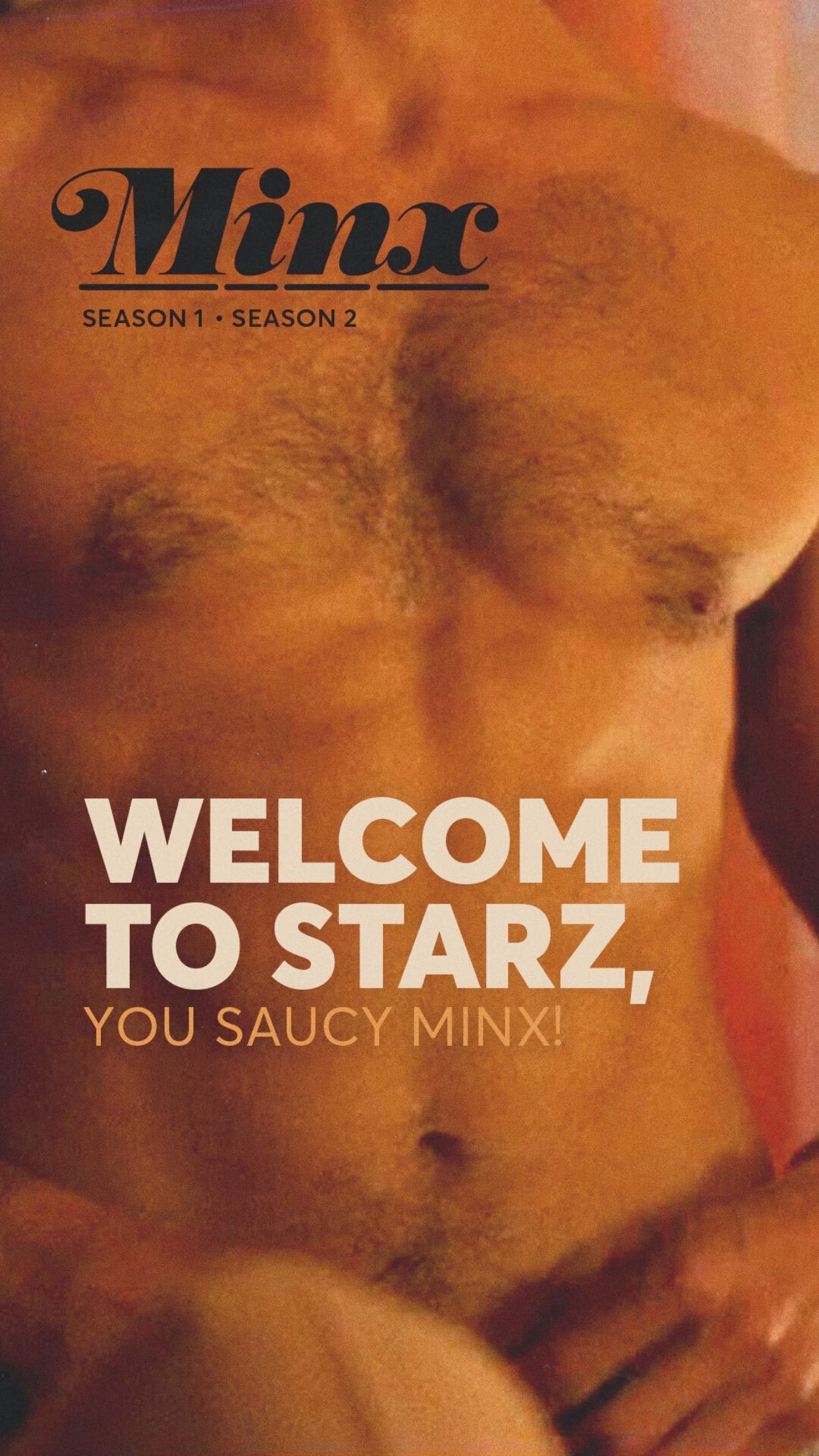 风骚女子 第二季的海报-预告海报