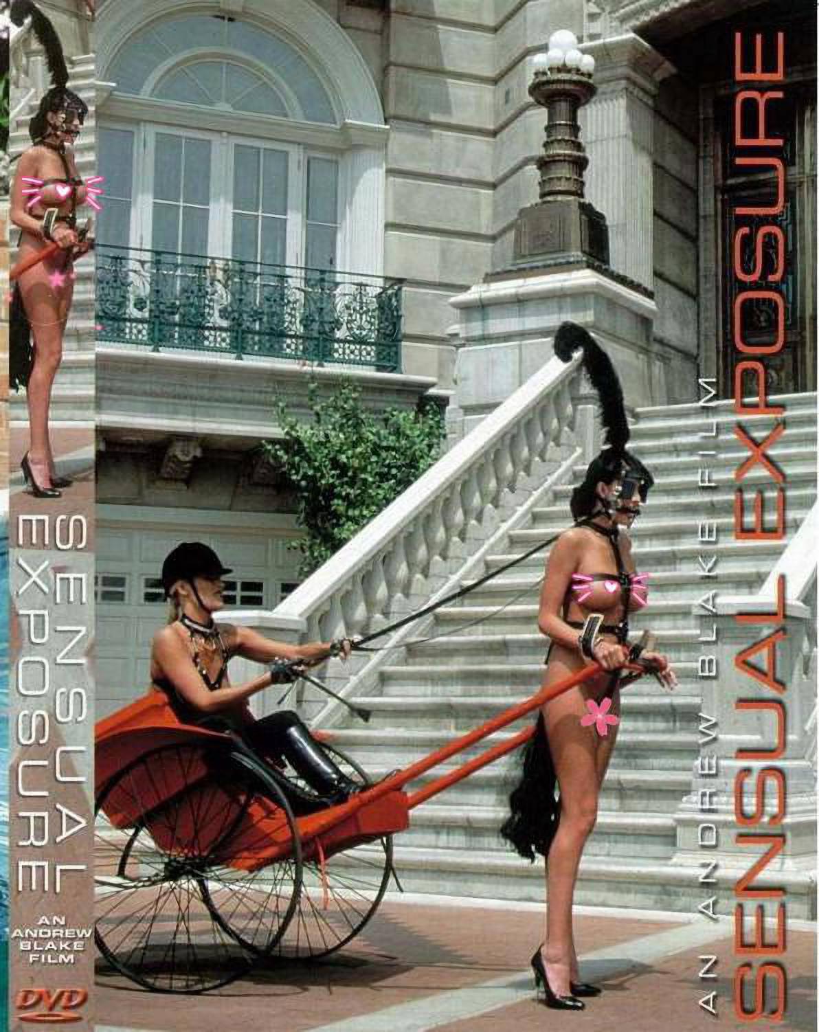 性感曝光的海报-其他海报