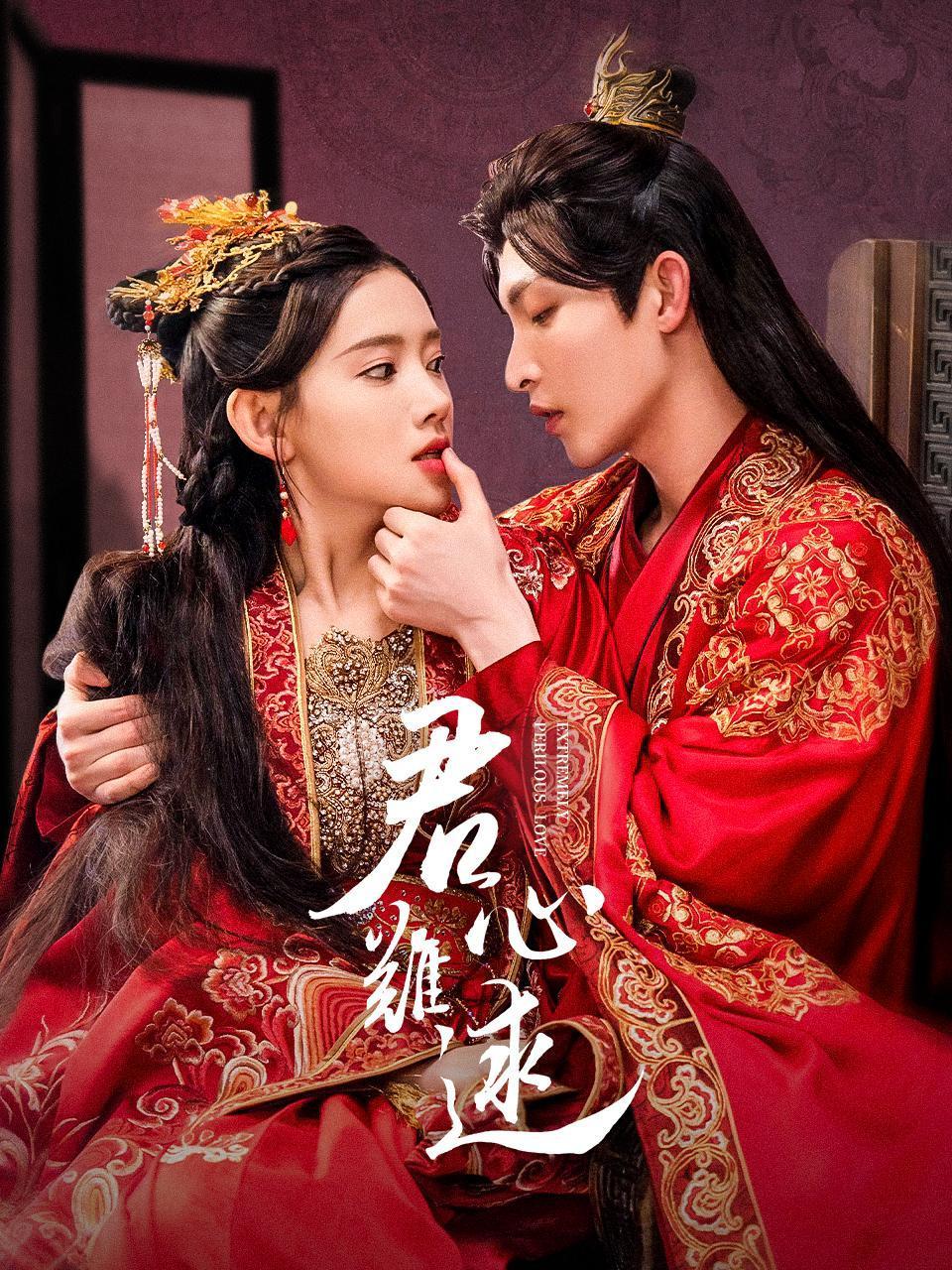 君心难逑的海报-正式海报