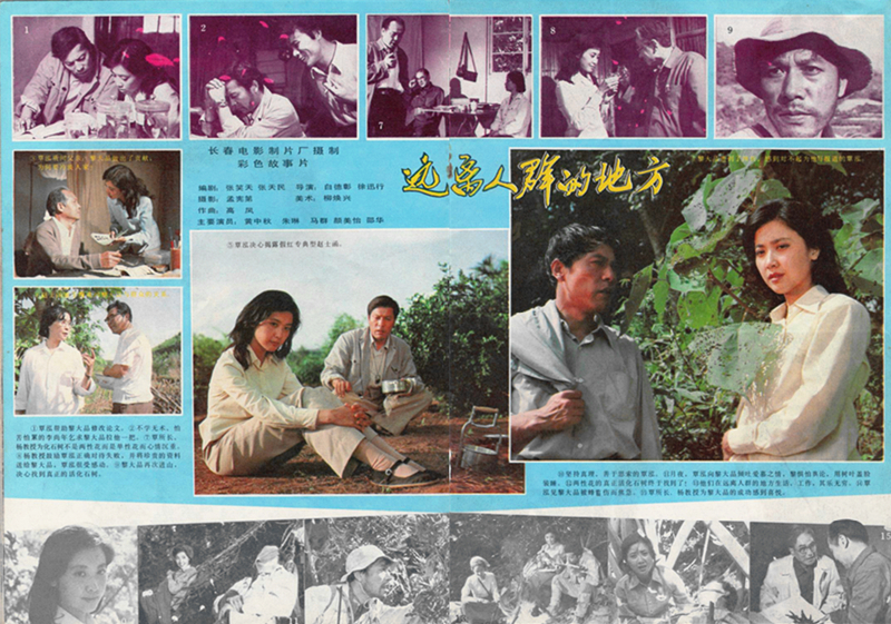 远离人群的地方的海报-其他海报