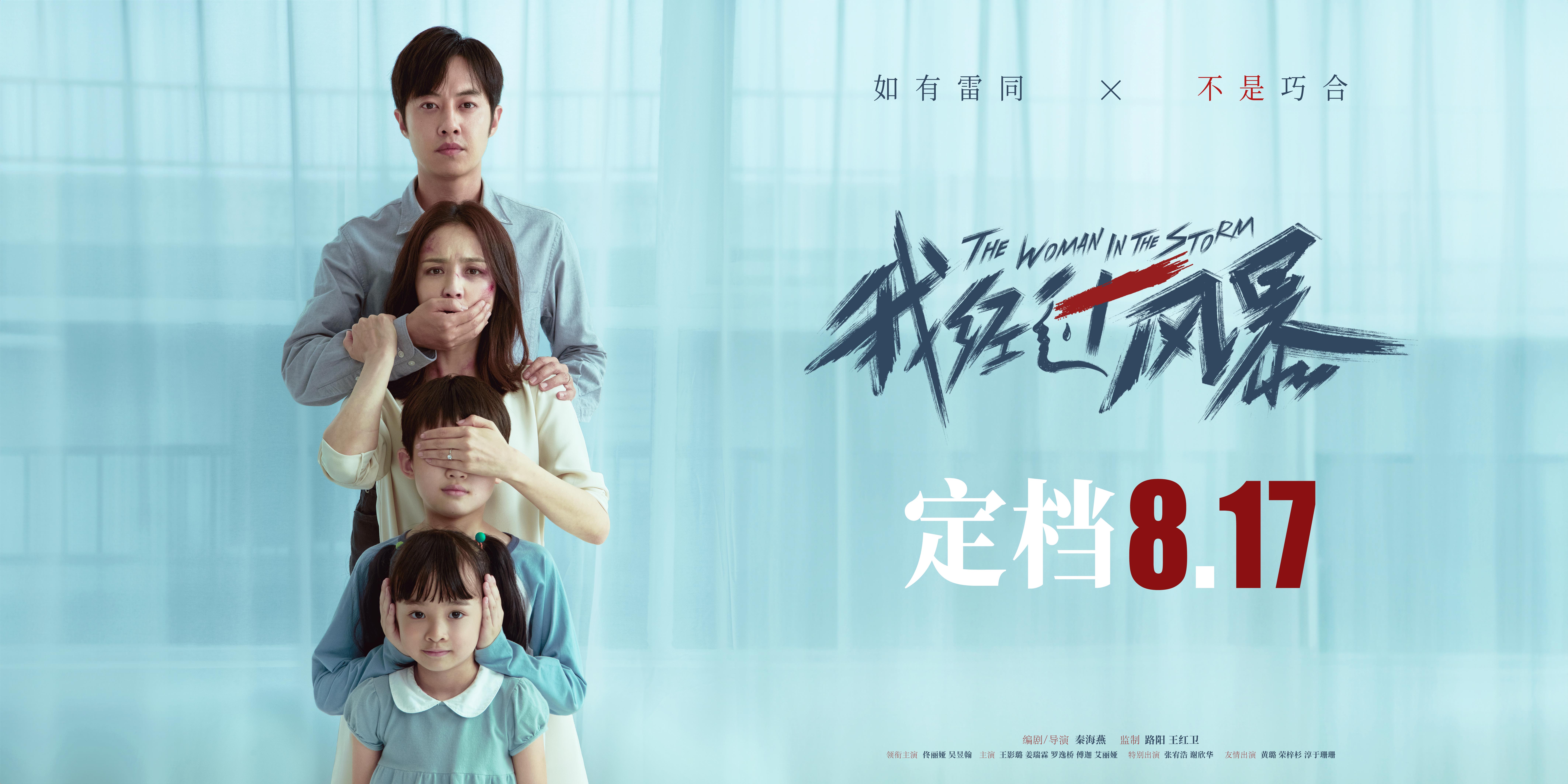 我经过风暴的海报-预告海报 中国大陆