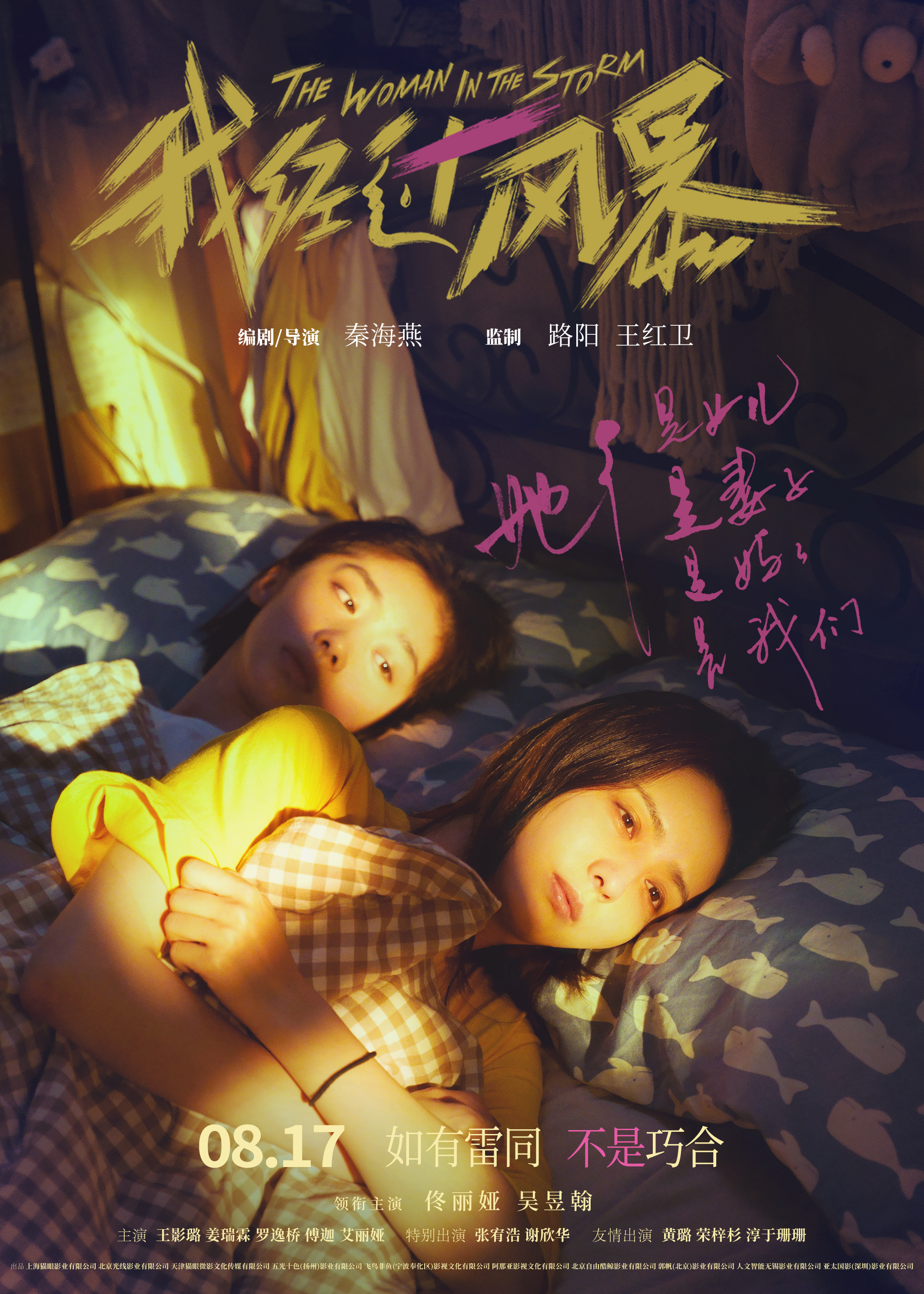 我经过风暴的海报-正式海报 中国大陆