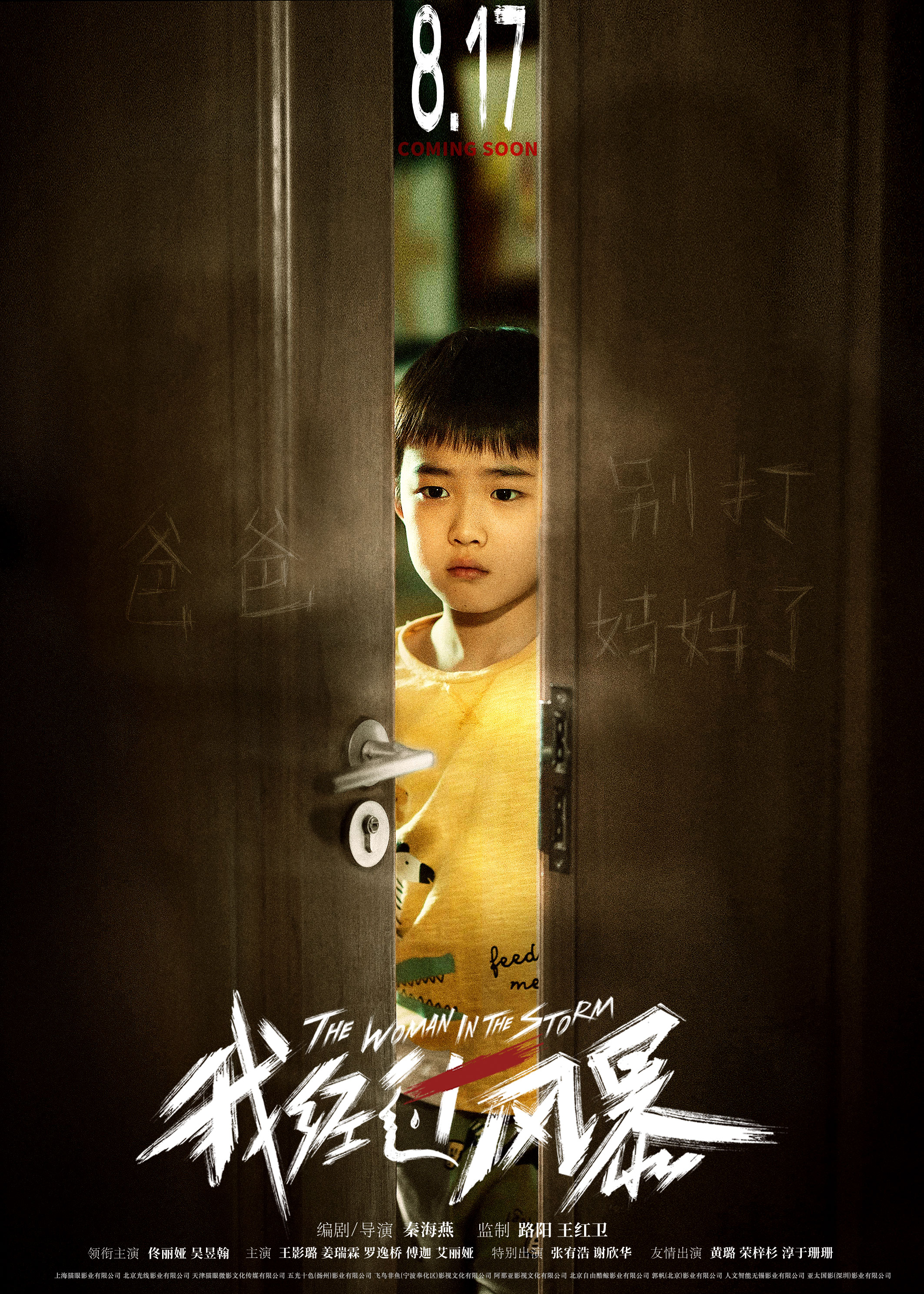 我经过风暴的海报-正式海报 中国大陆
