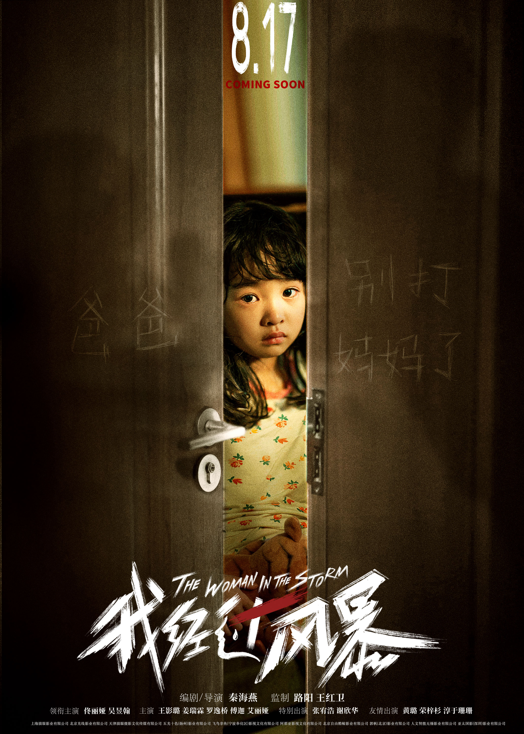 我经过风暴的海报-正式海报 中国大陆