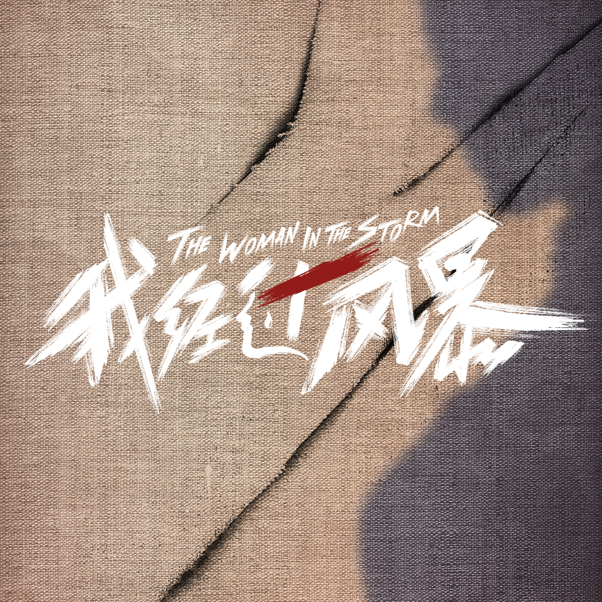 我经过风暴的海报-预告海报 中国大陆