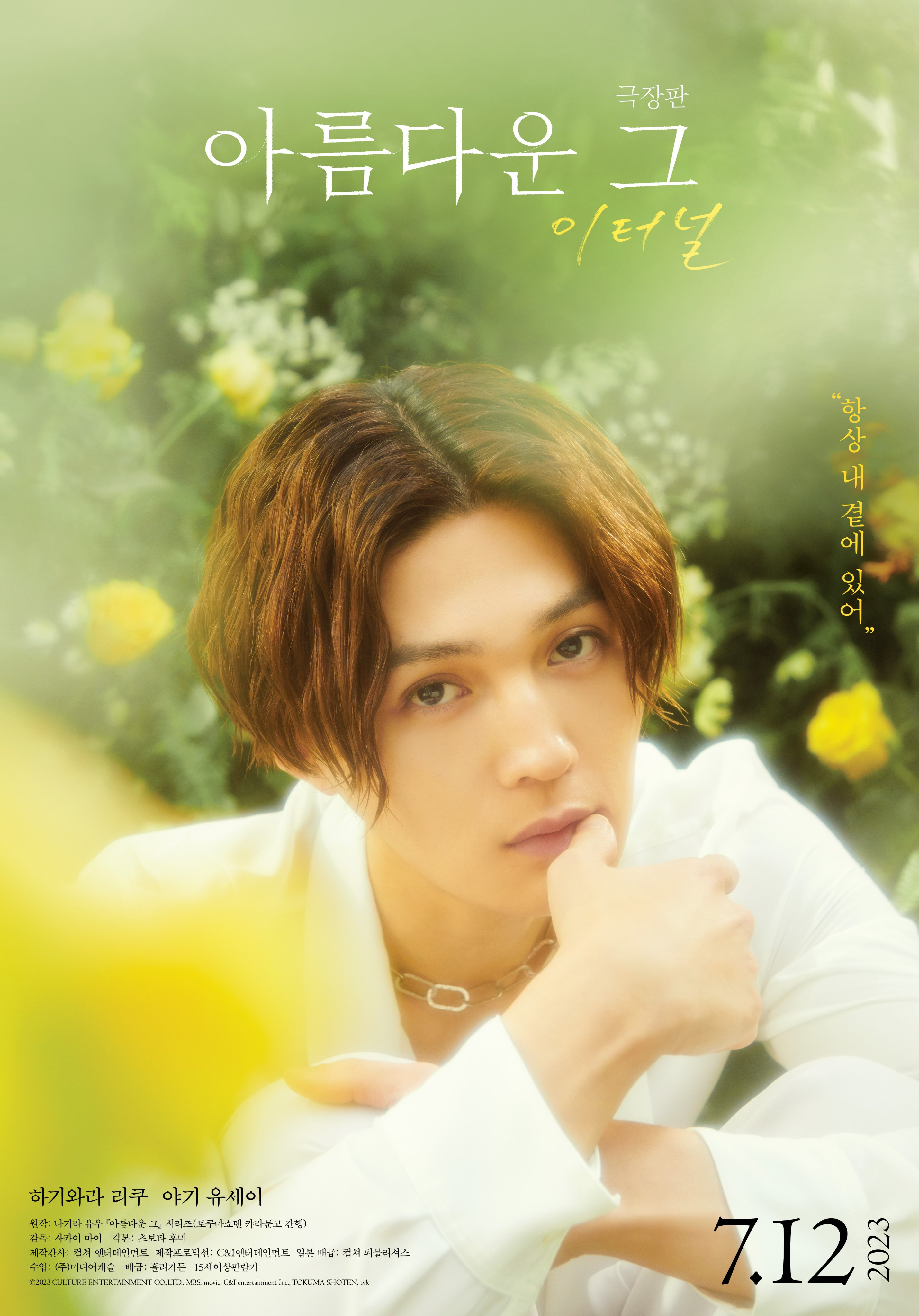 美丽的他电影版的海报-角色海报 韩国