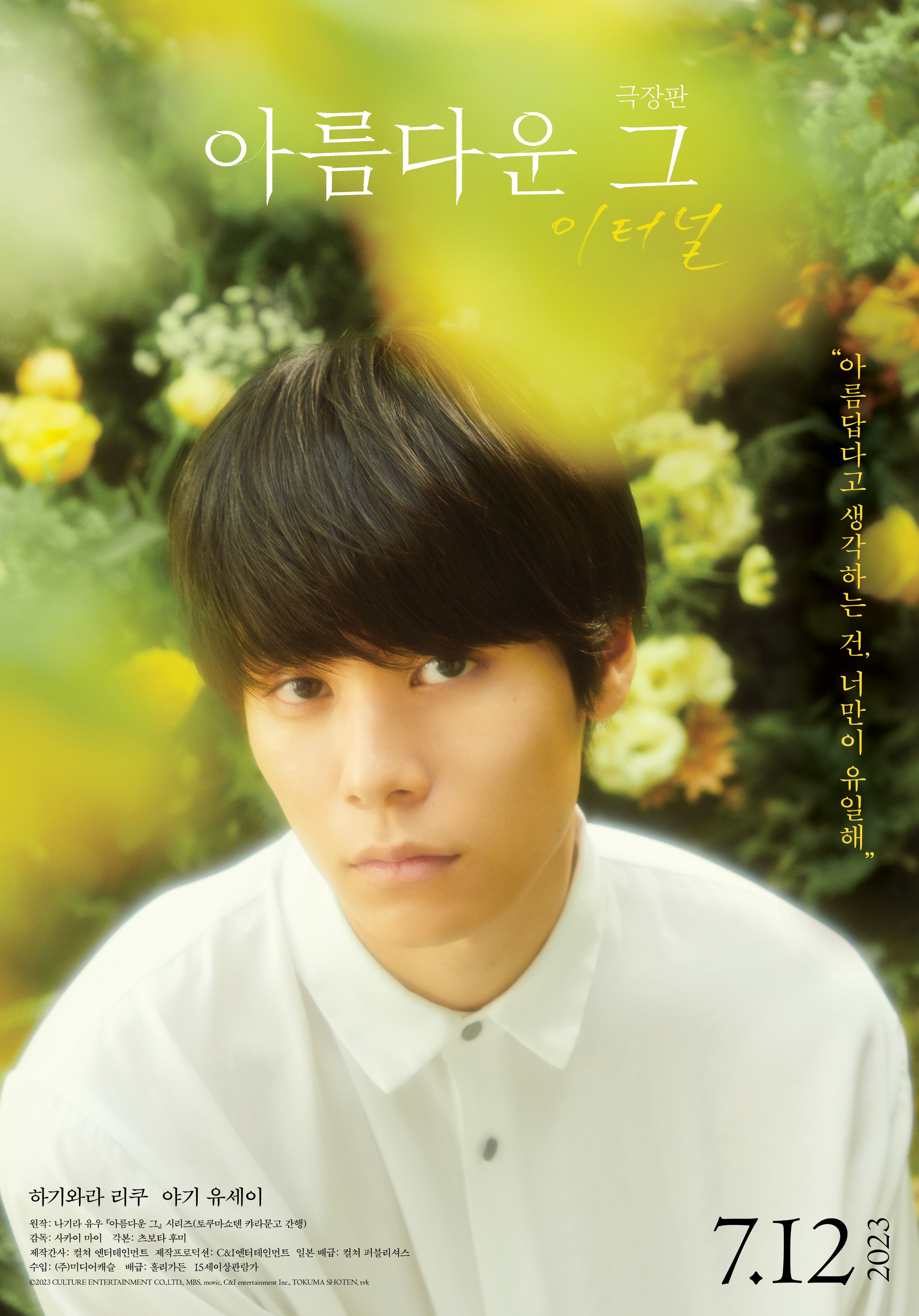 美丽的他电影版的海报-角色海报 韩国