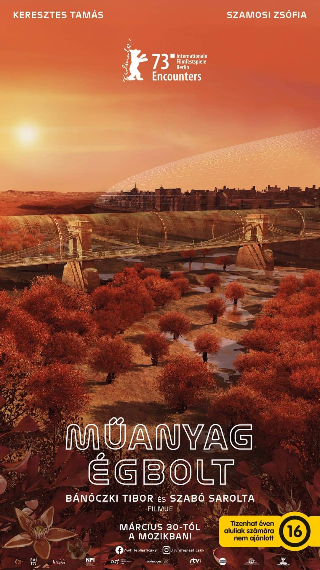 白色塑料天空的海报-正式海报 匈牙利