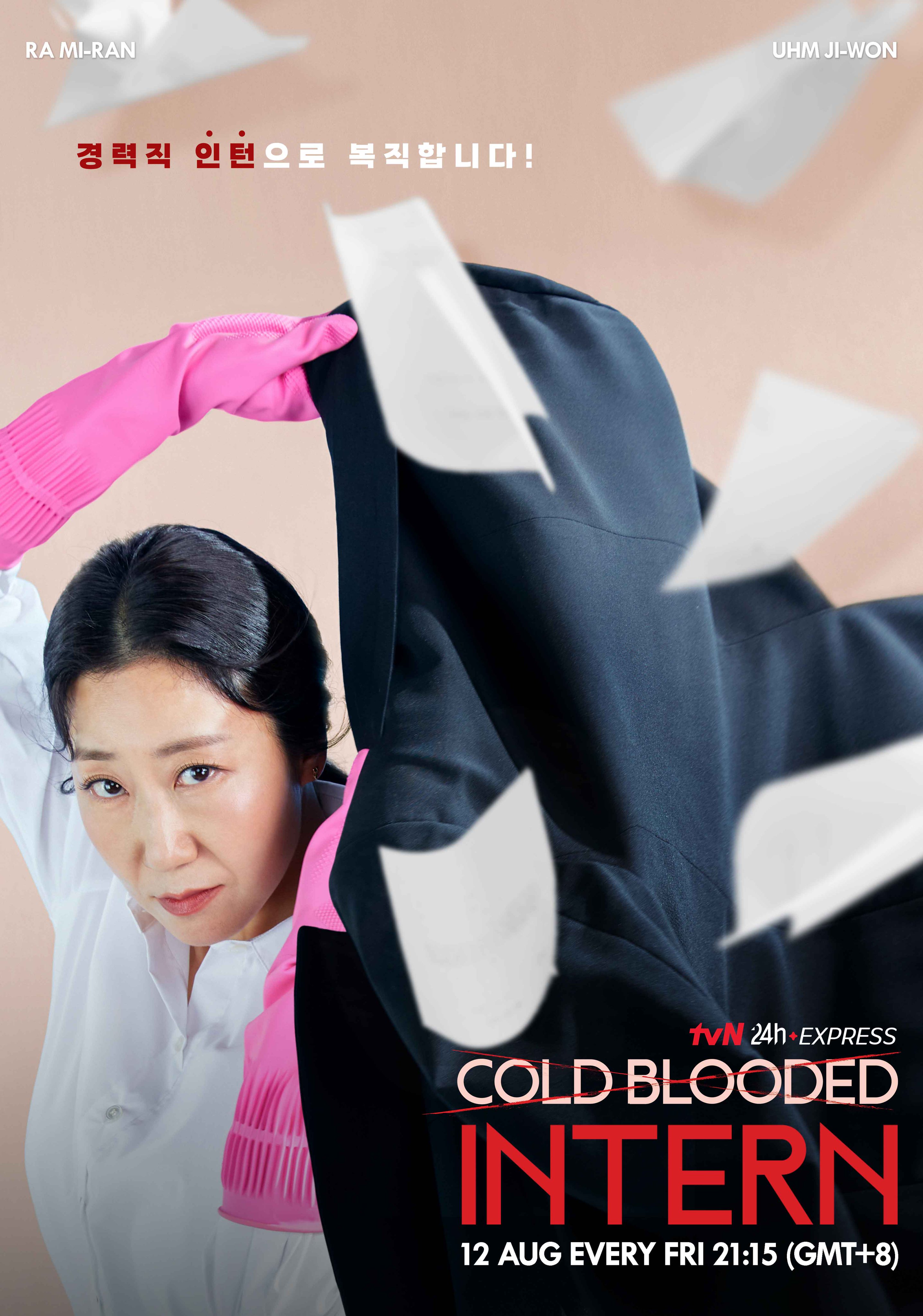 残酷的实习生的海报-正式海报 美国