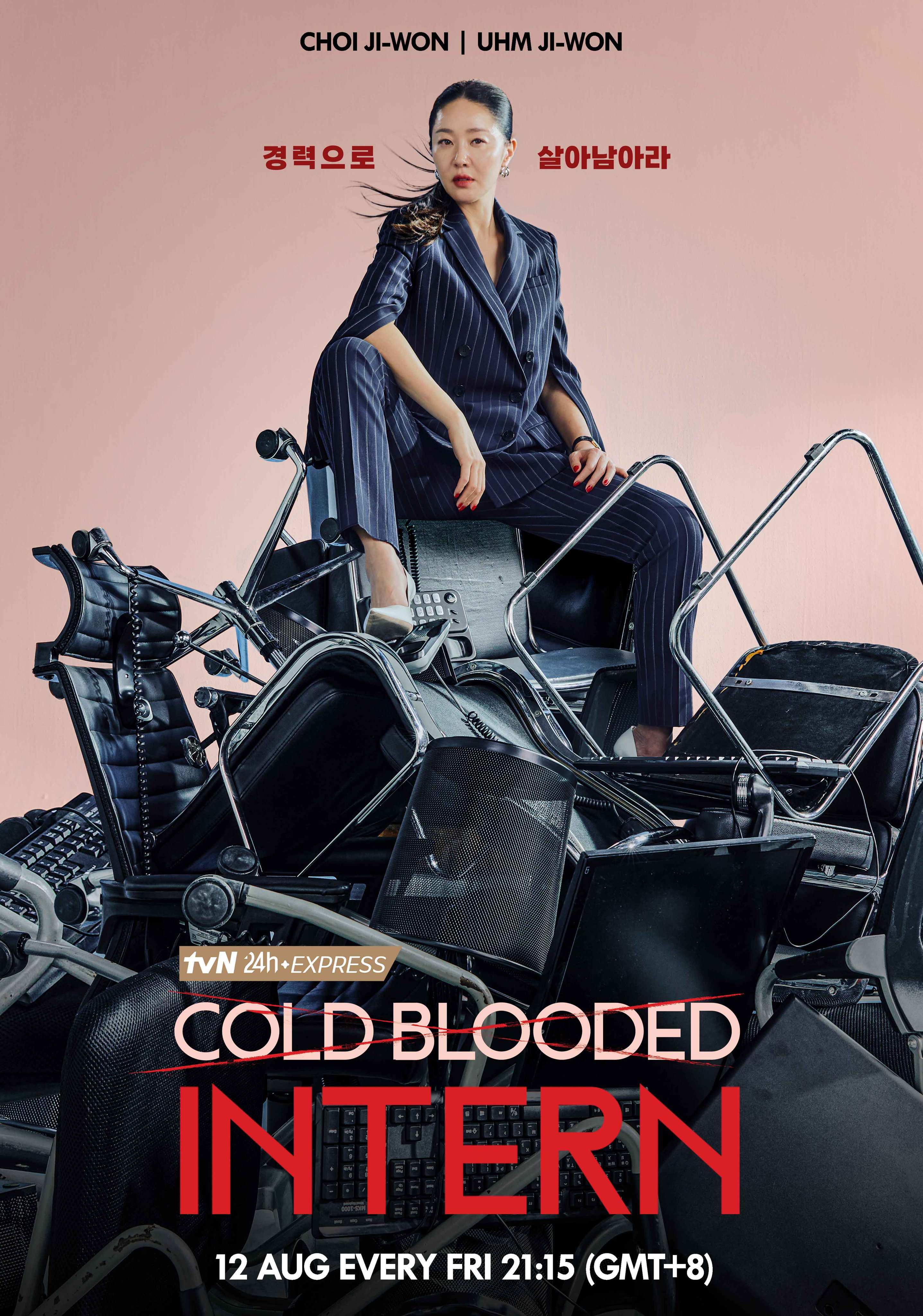 残酷的实习生的海报-角色海报 美国