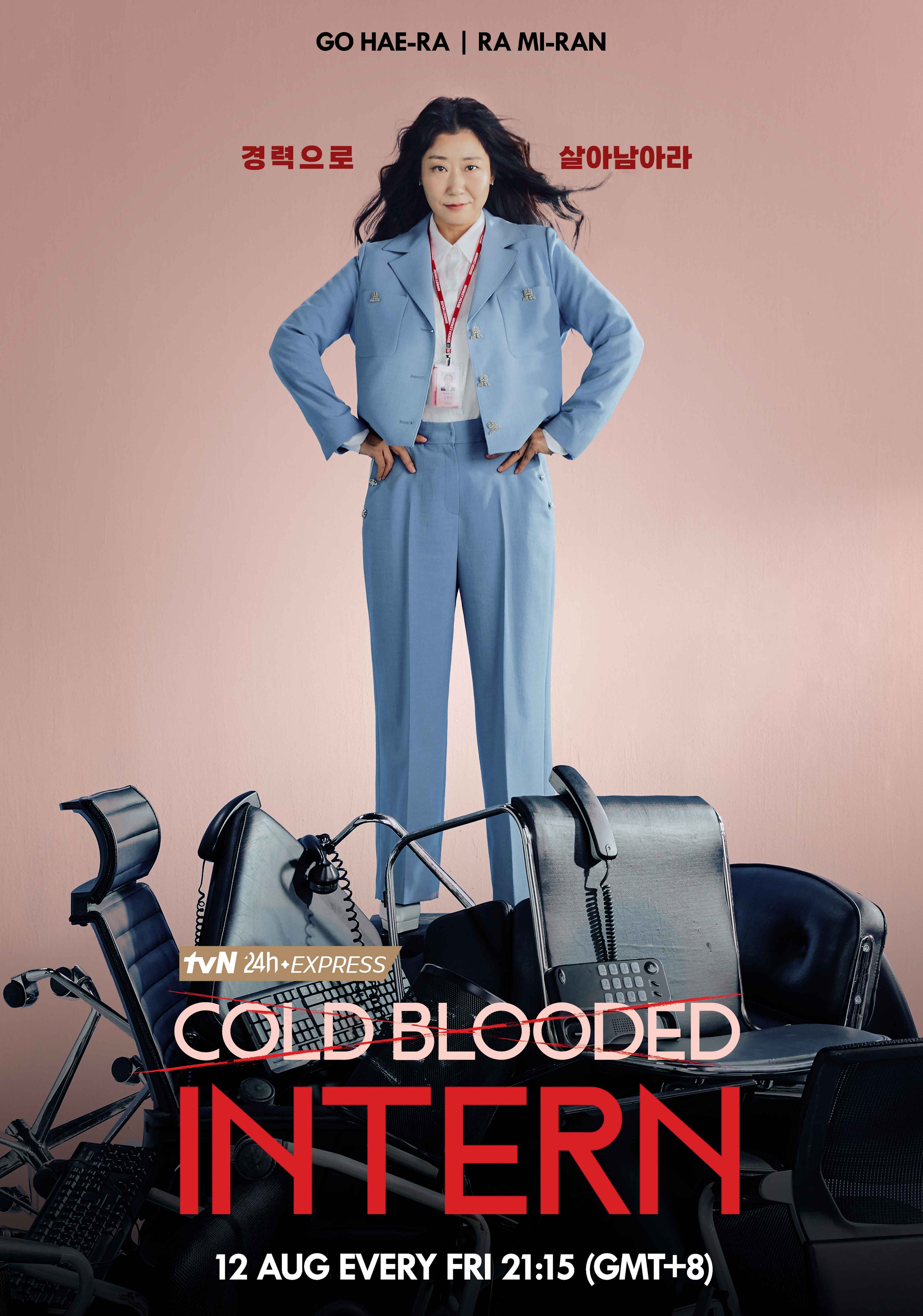 残酷的实习生的海报-角色海报 美国