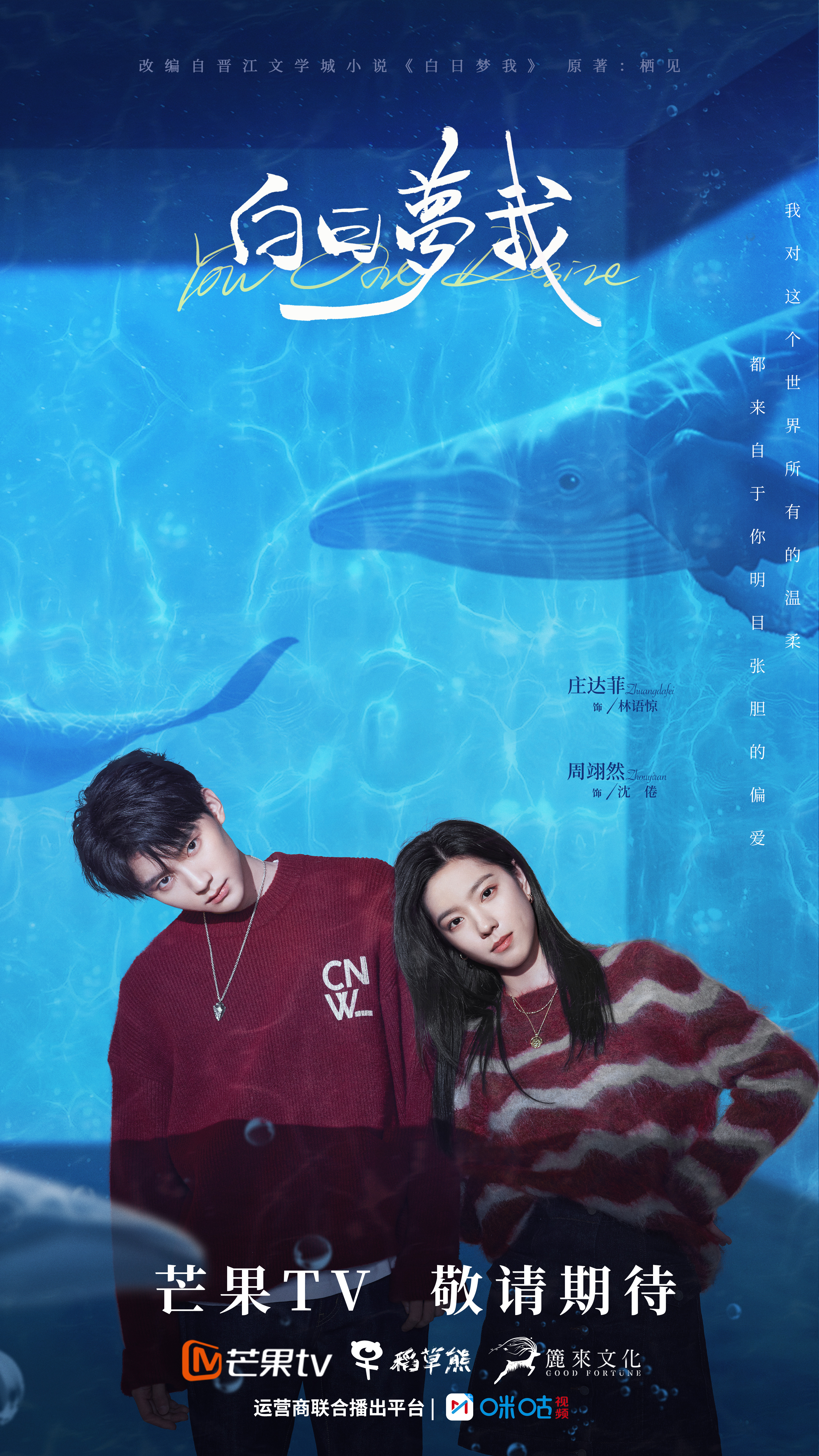 白日梦我的海报-正式海报