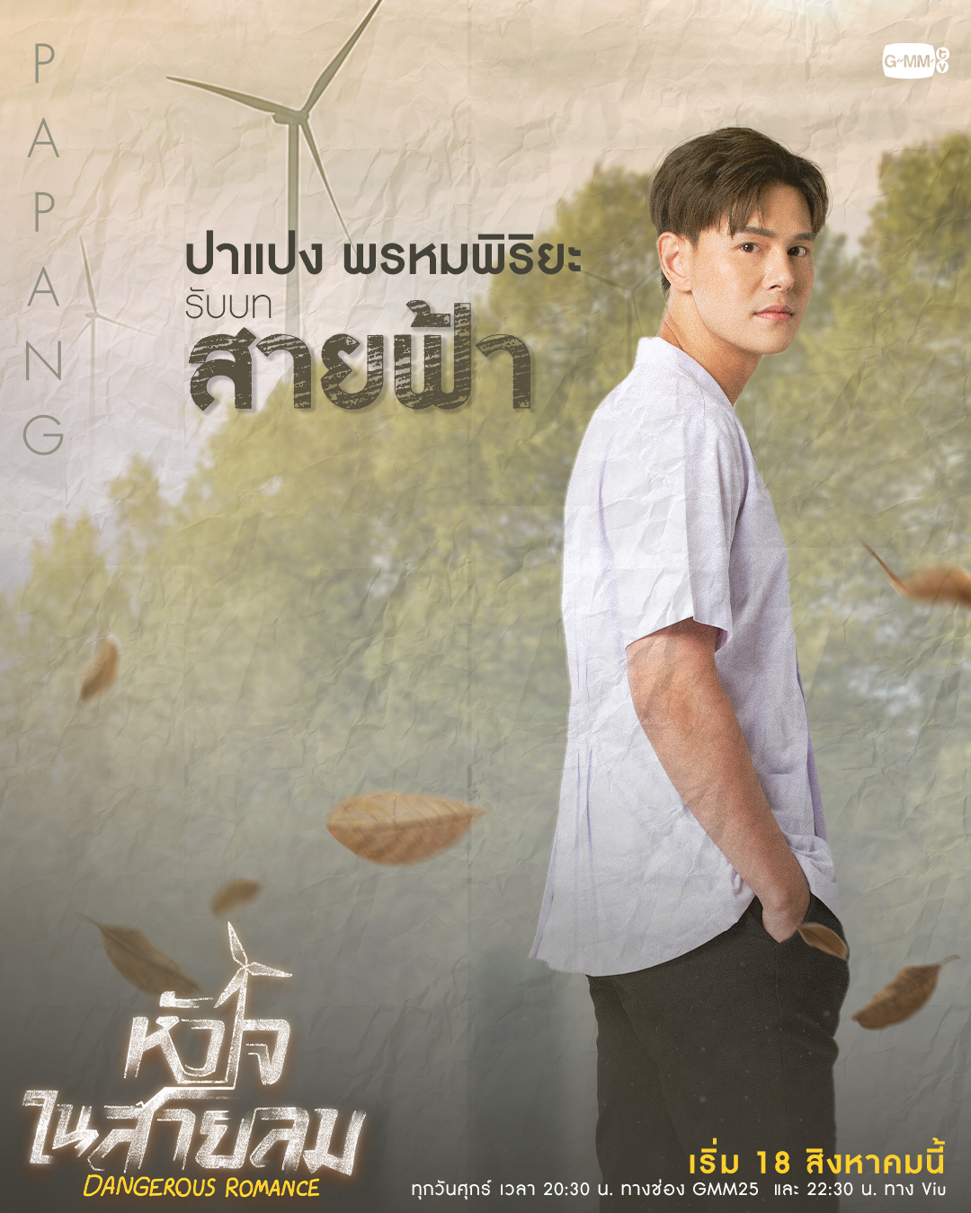 危险之爱的海报-角色海报 泰国