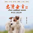 忠爱无言2