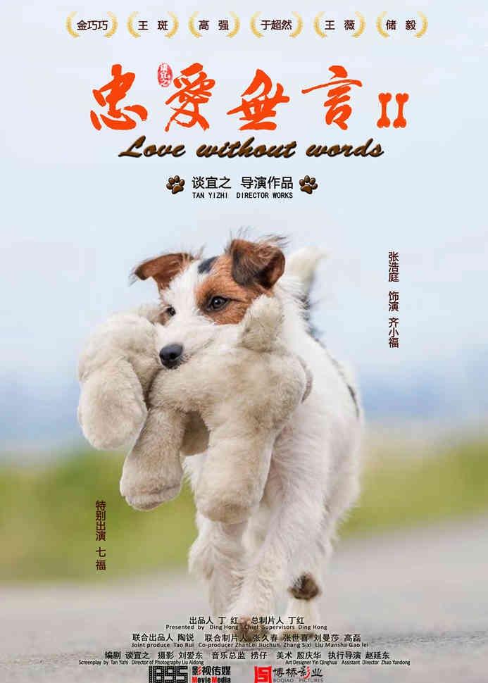 忠爱无言2的海报-正式海报