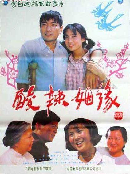 酸辣姻缘的海报-正式海报 中国大陆