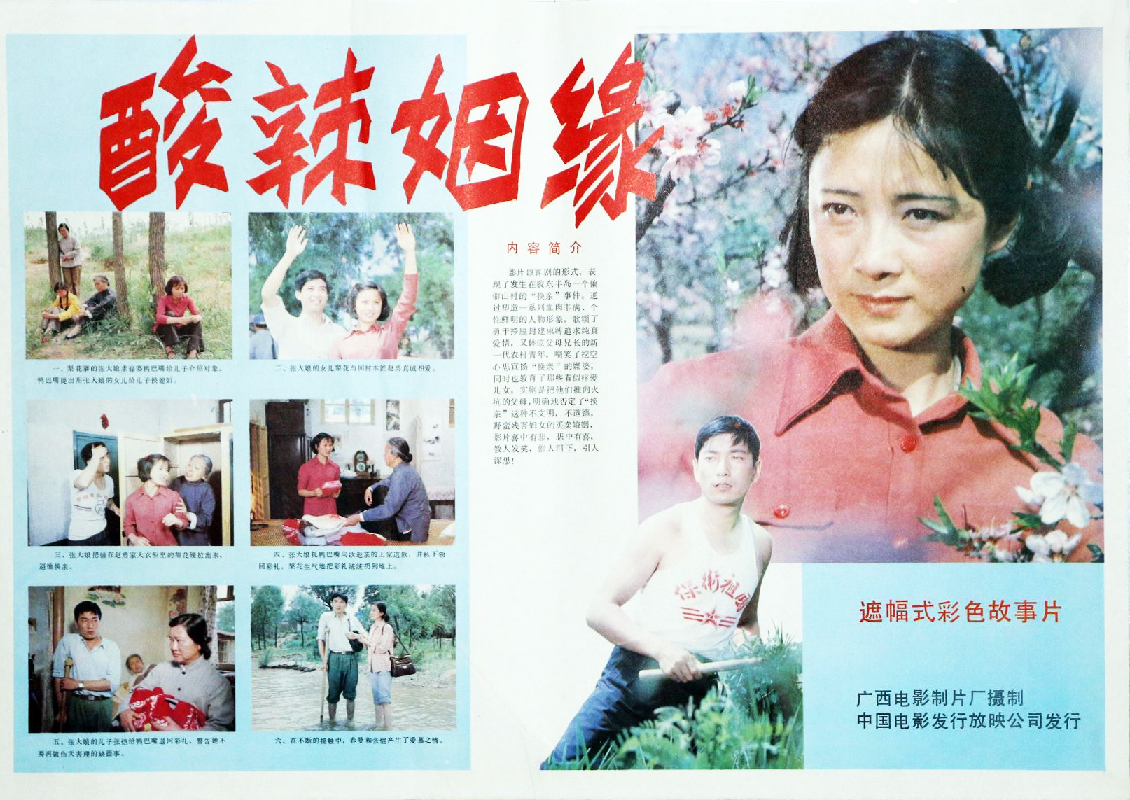 酸辣姻缘的海报-其他海报 中国大陆