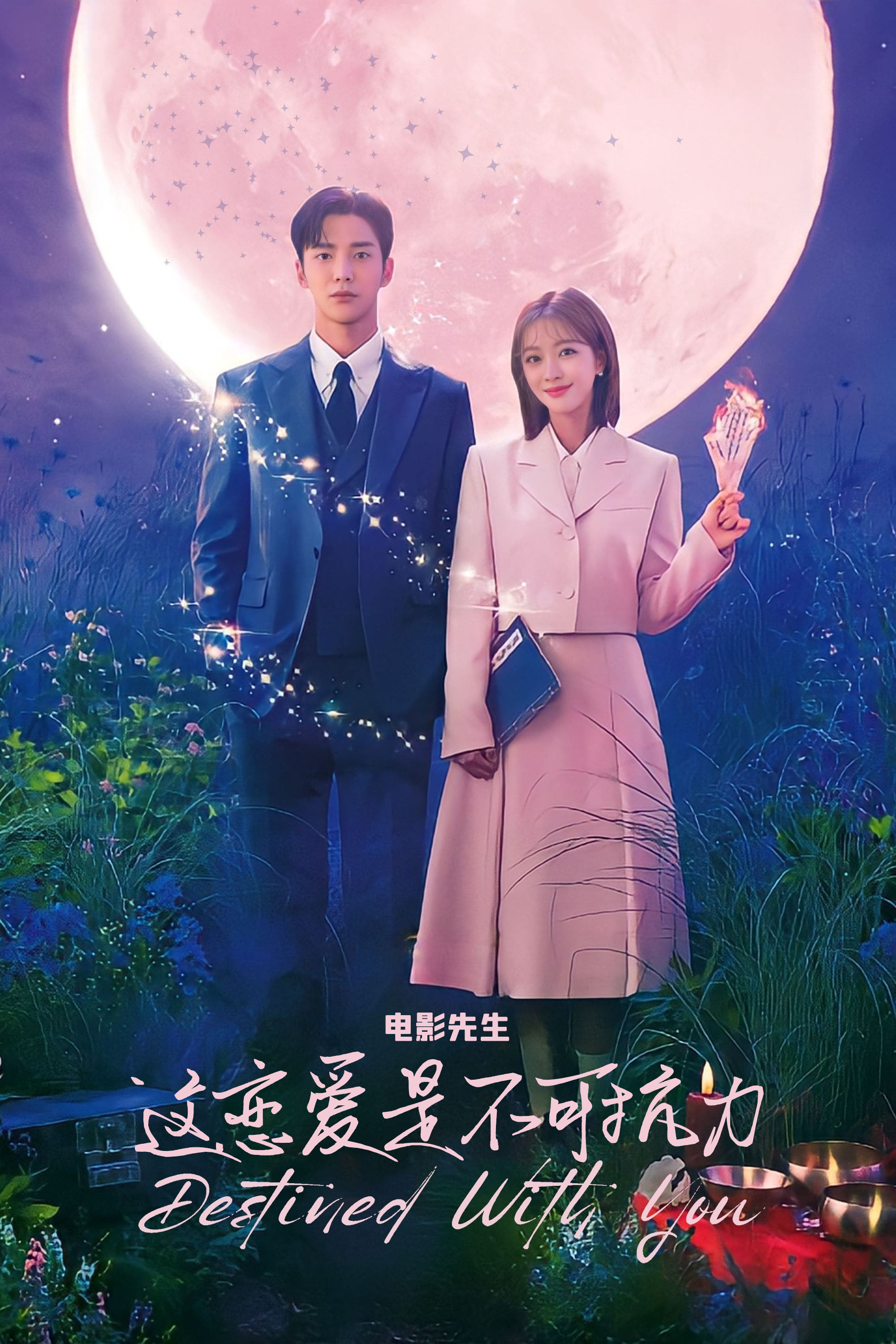 恋爱不可抗力的海报-其他海报