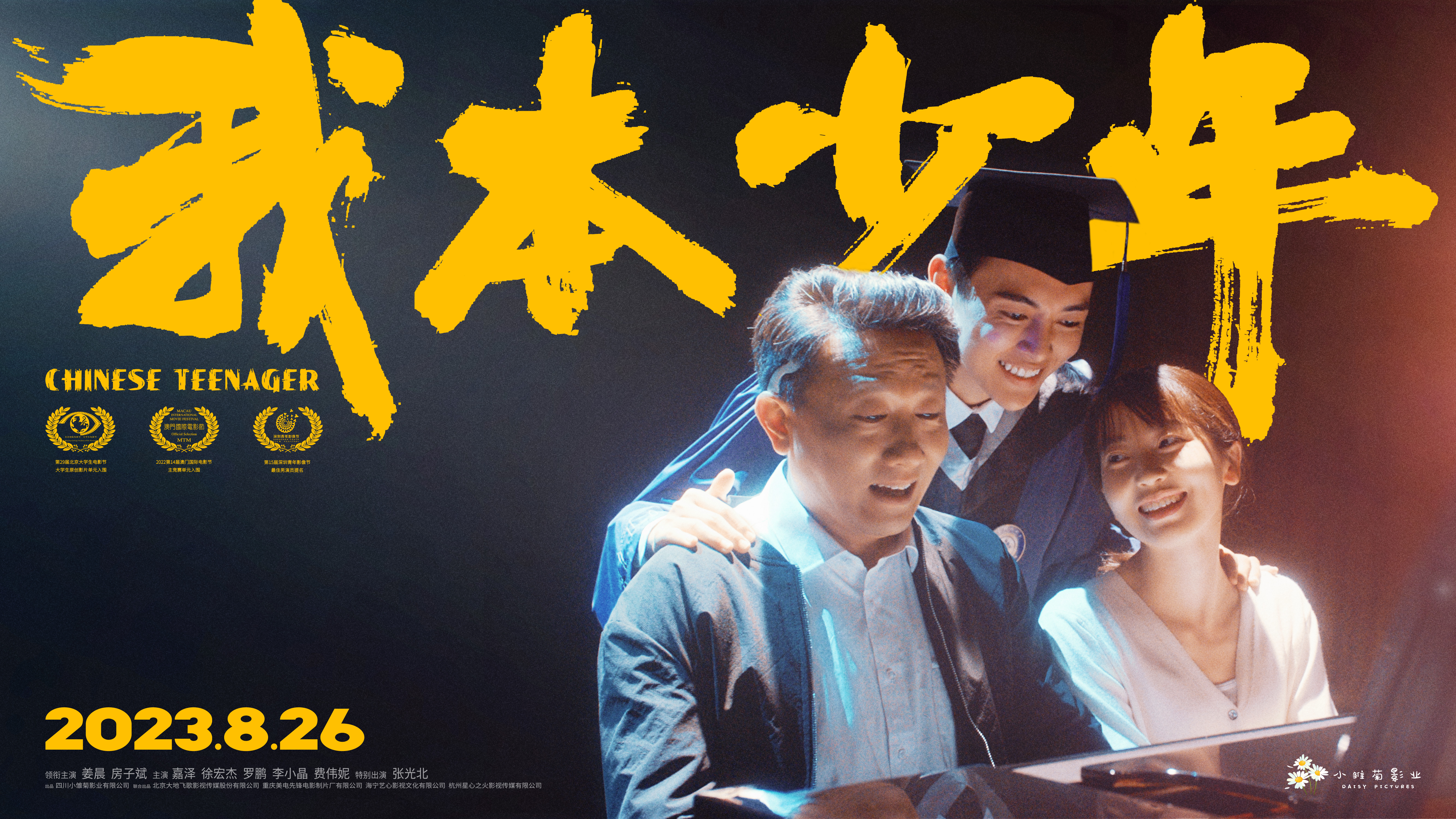 我本少年的海报-其他海报 中国大陆