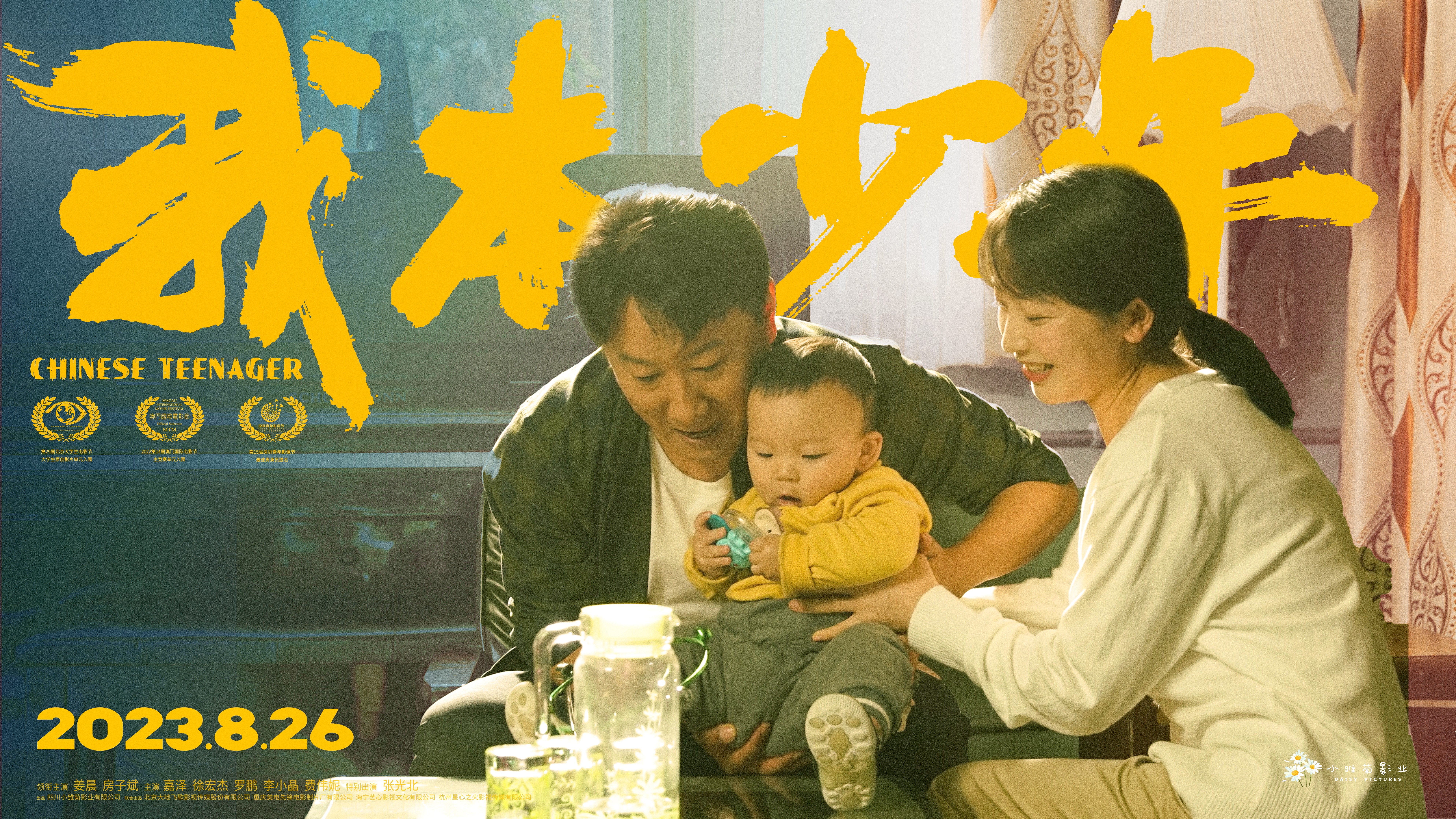 我本少年的海报-其他海报 中国大陆