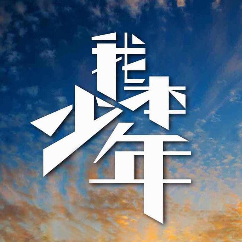 我本少年的海报-正式海报